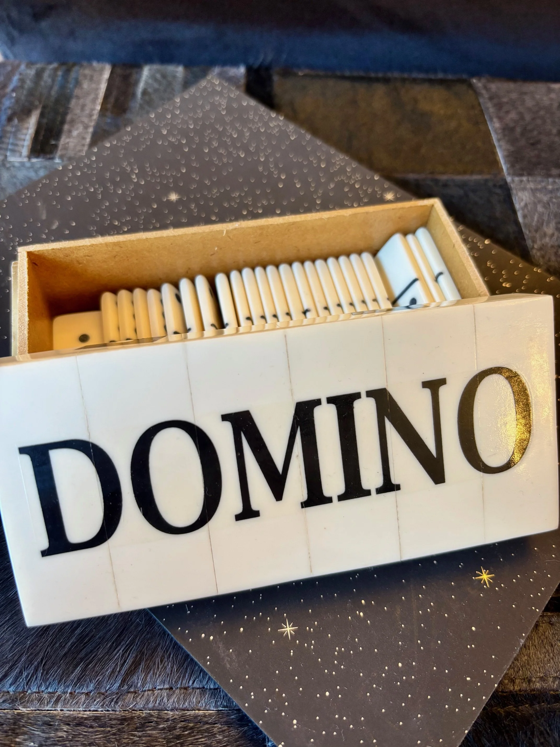 Domino Set in Black and White