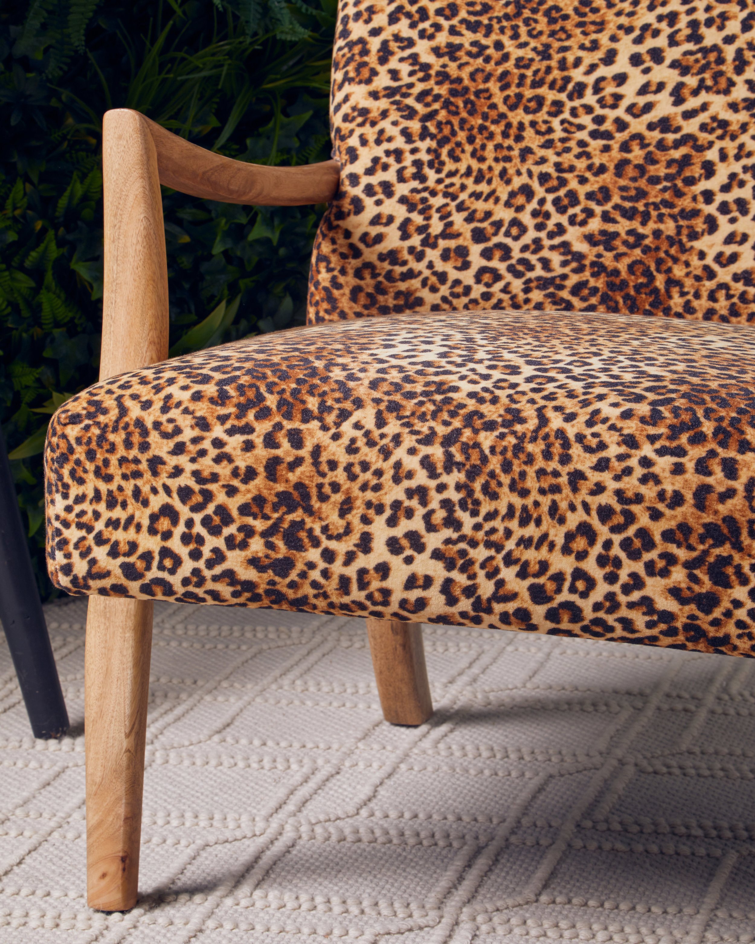 Leopard 3.jpeg