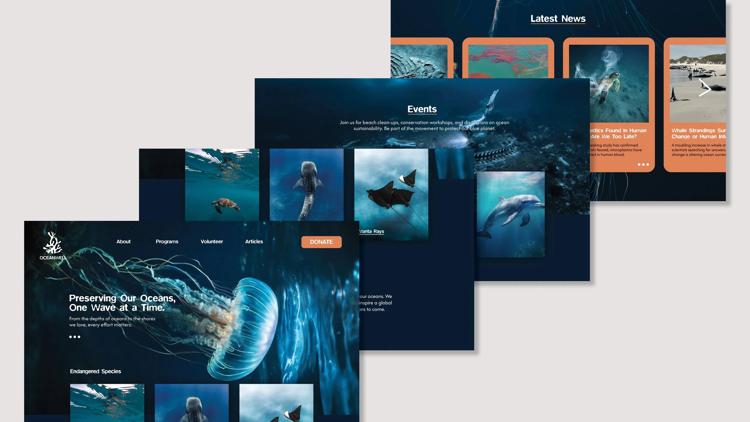 Portfolio something oceanwell3.jpg