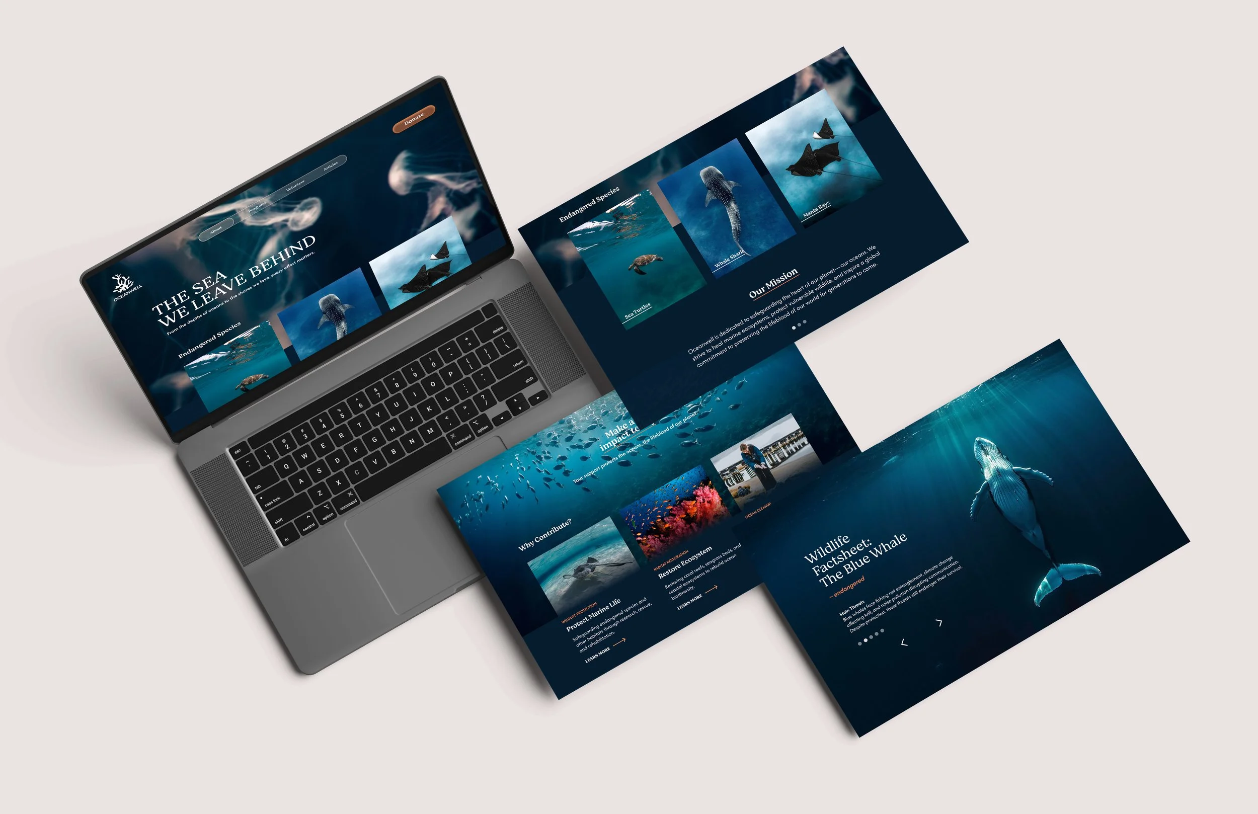 Website Mockup.jpg