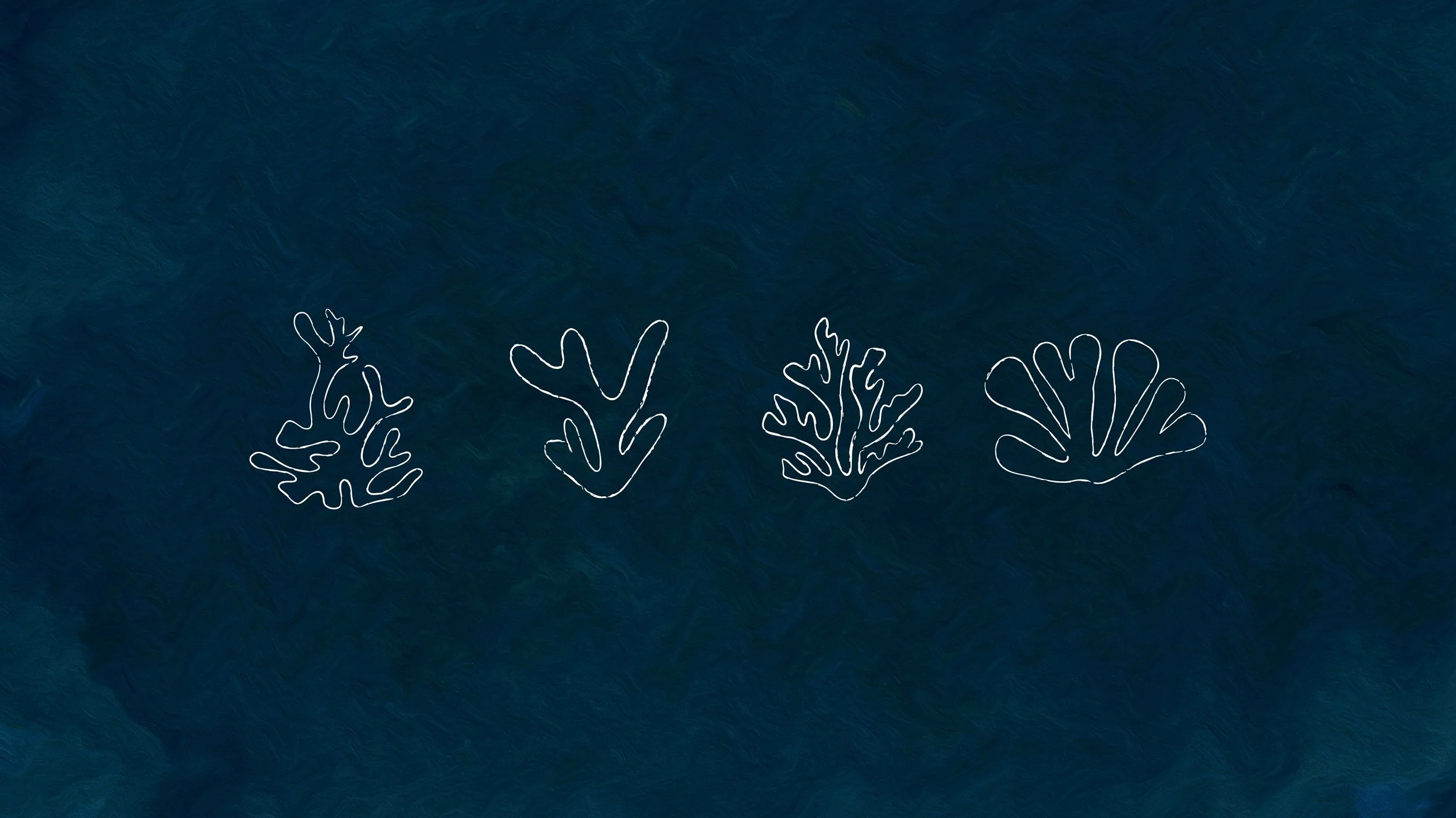 Portfolio something oceanwell2.jpg