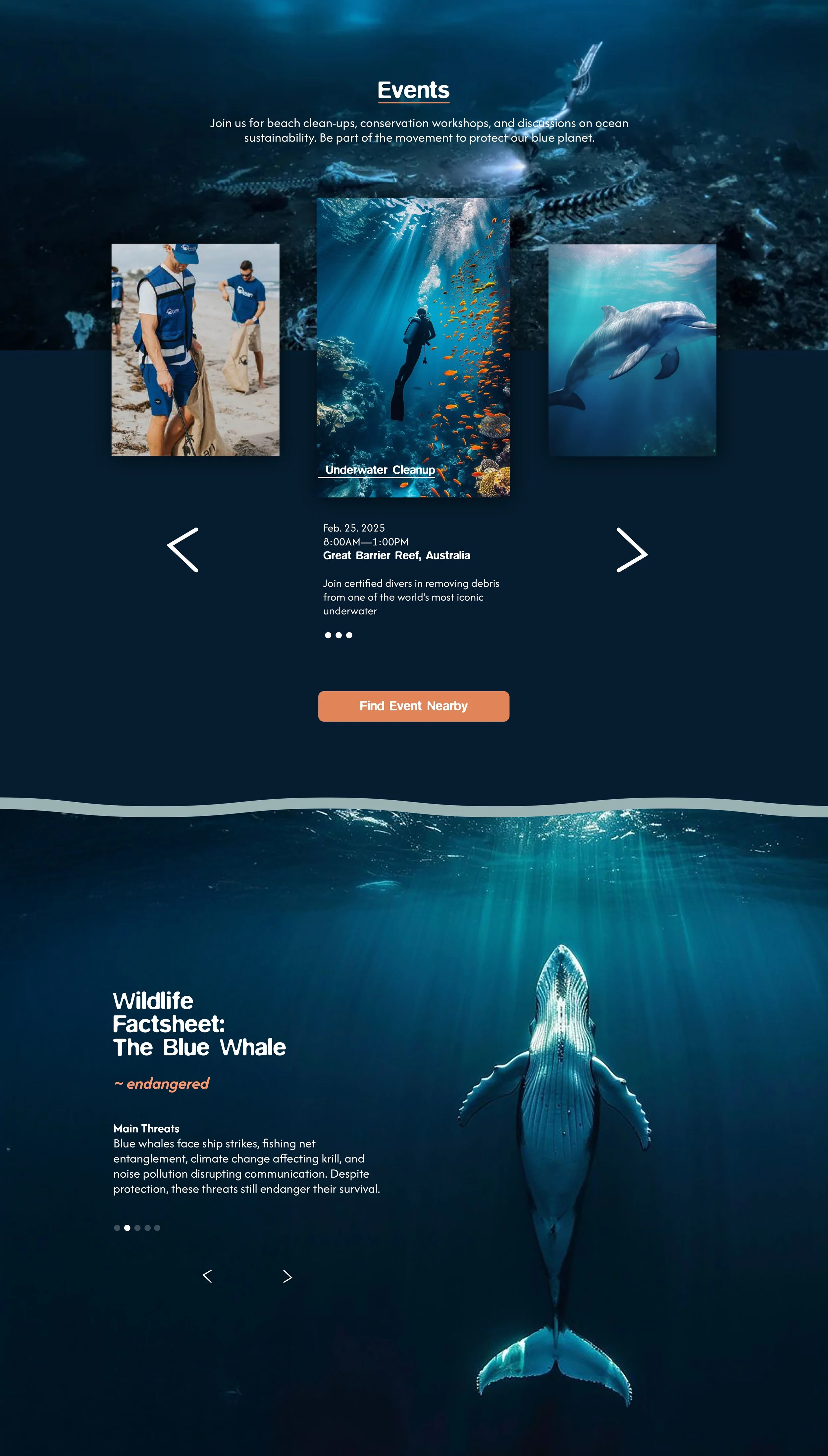Website Design.jpg