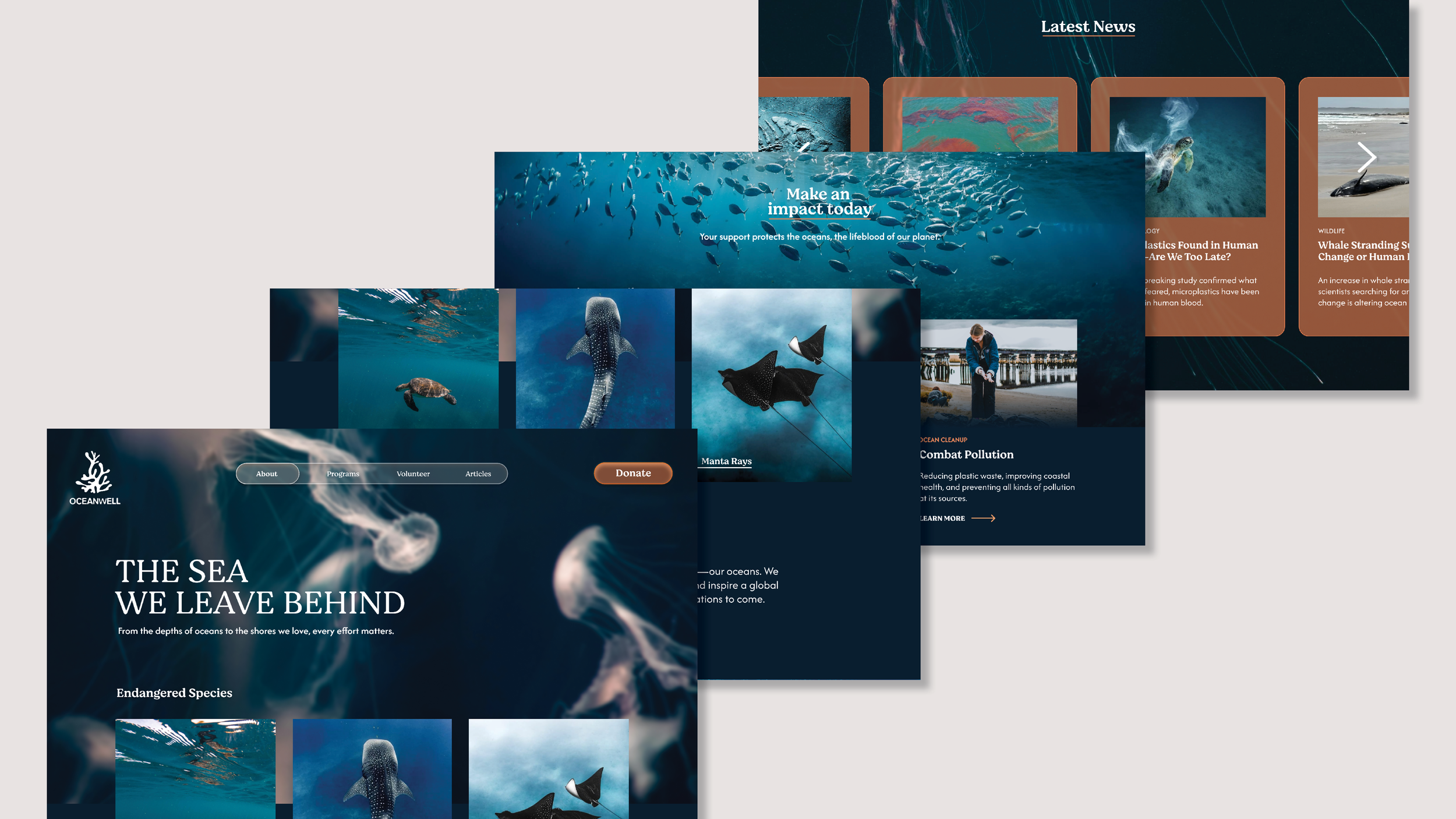 Portfolio something oceanwell2.png