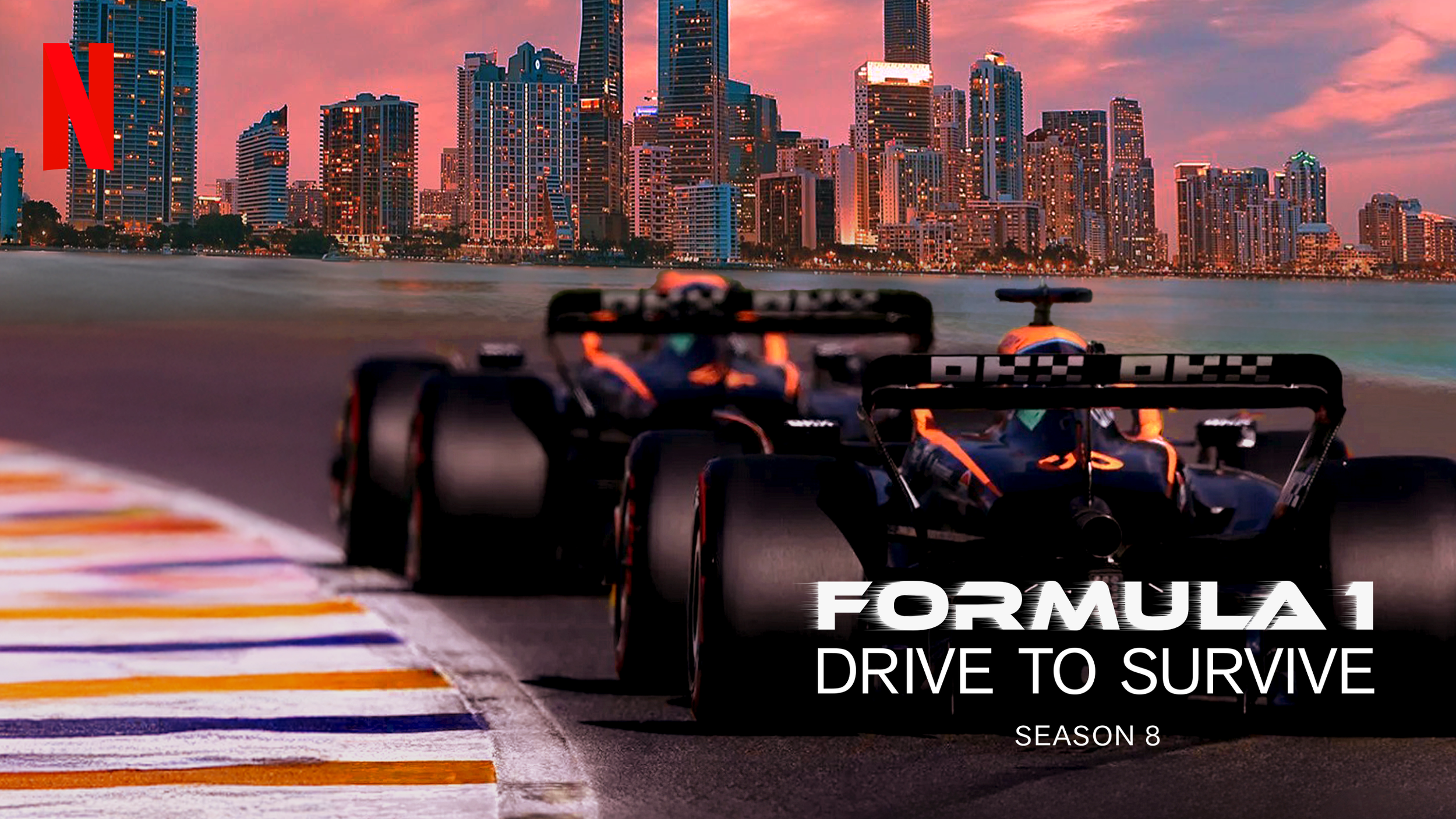 netflix horizontal.png