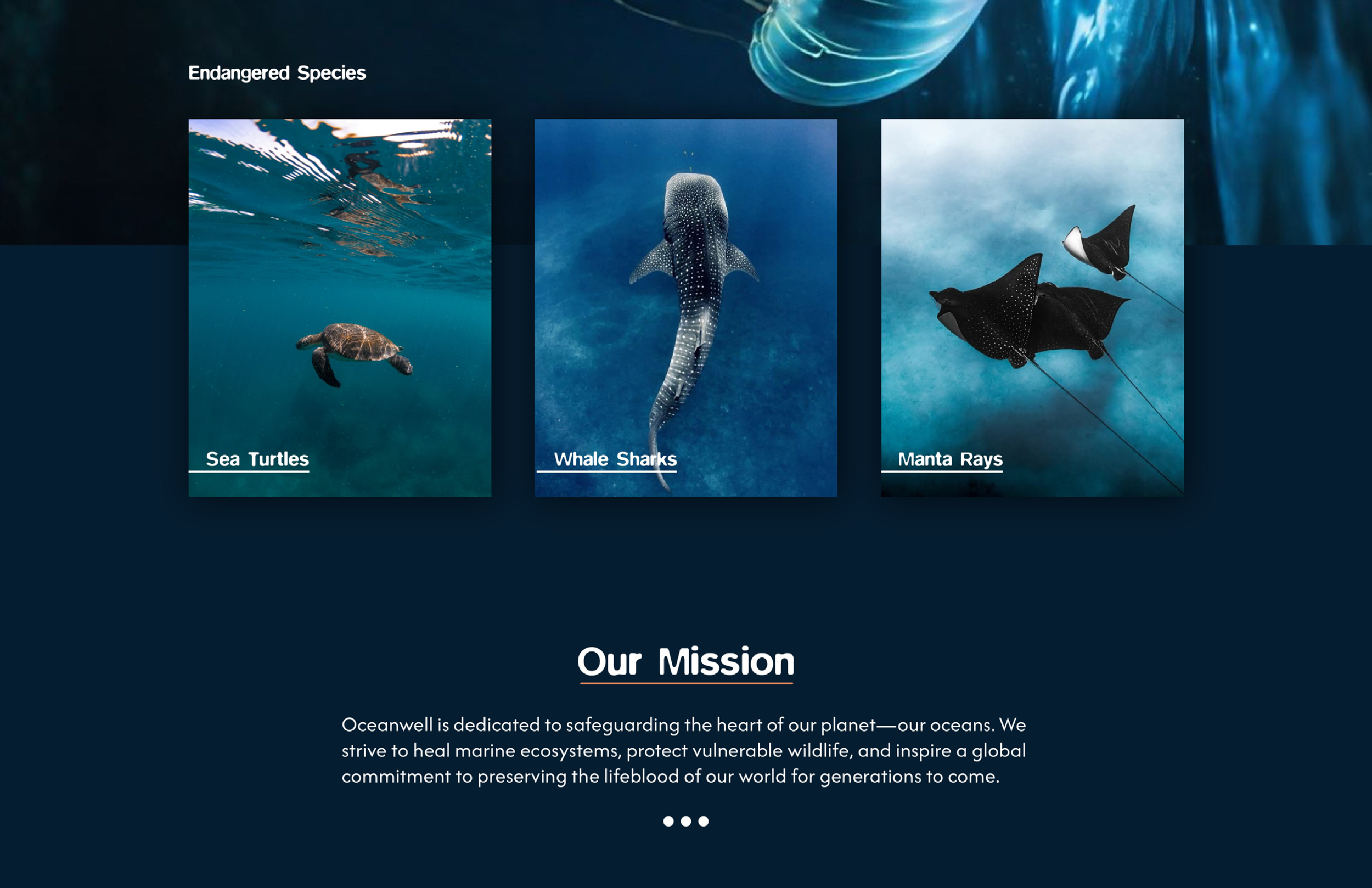 web page.png