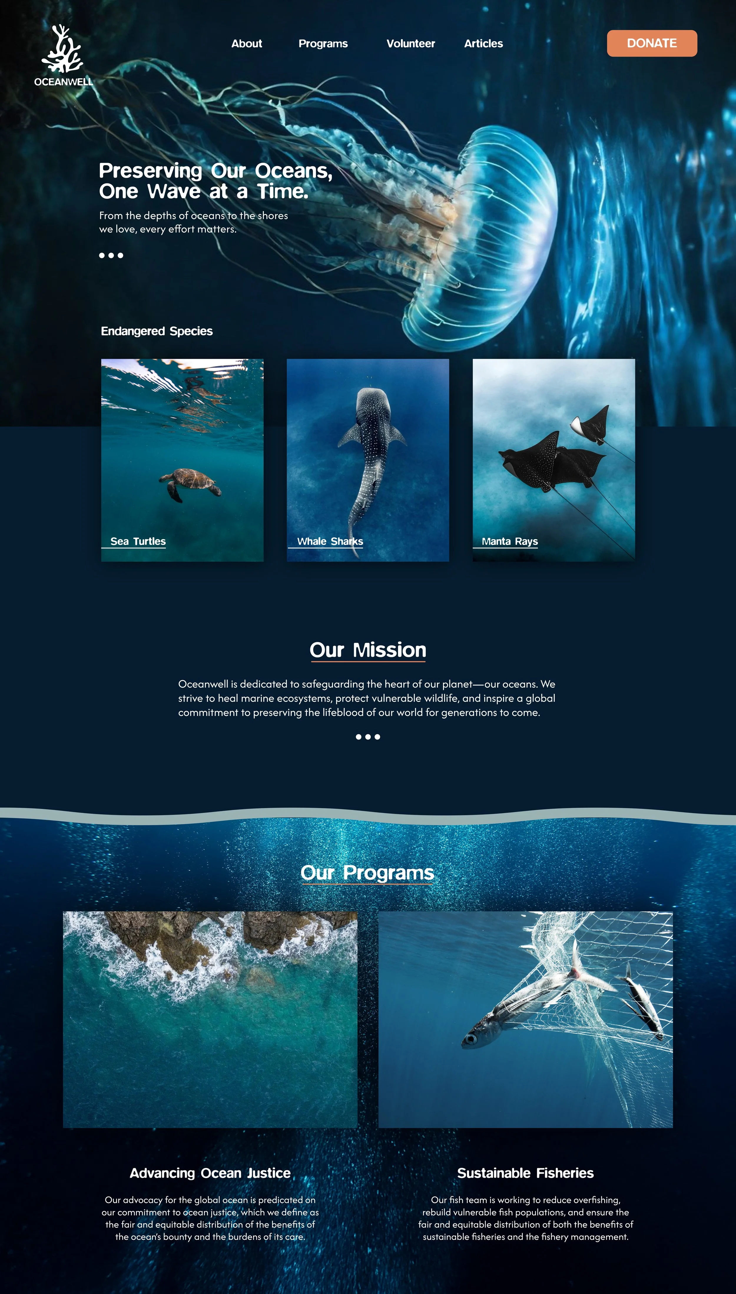 Website Design_Web Design 1.jpeg