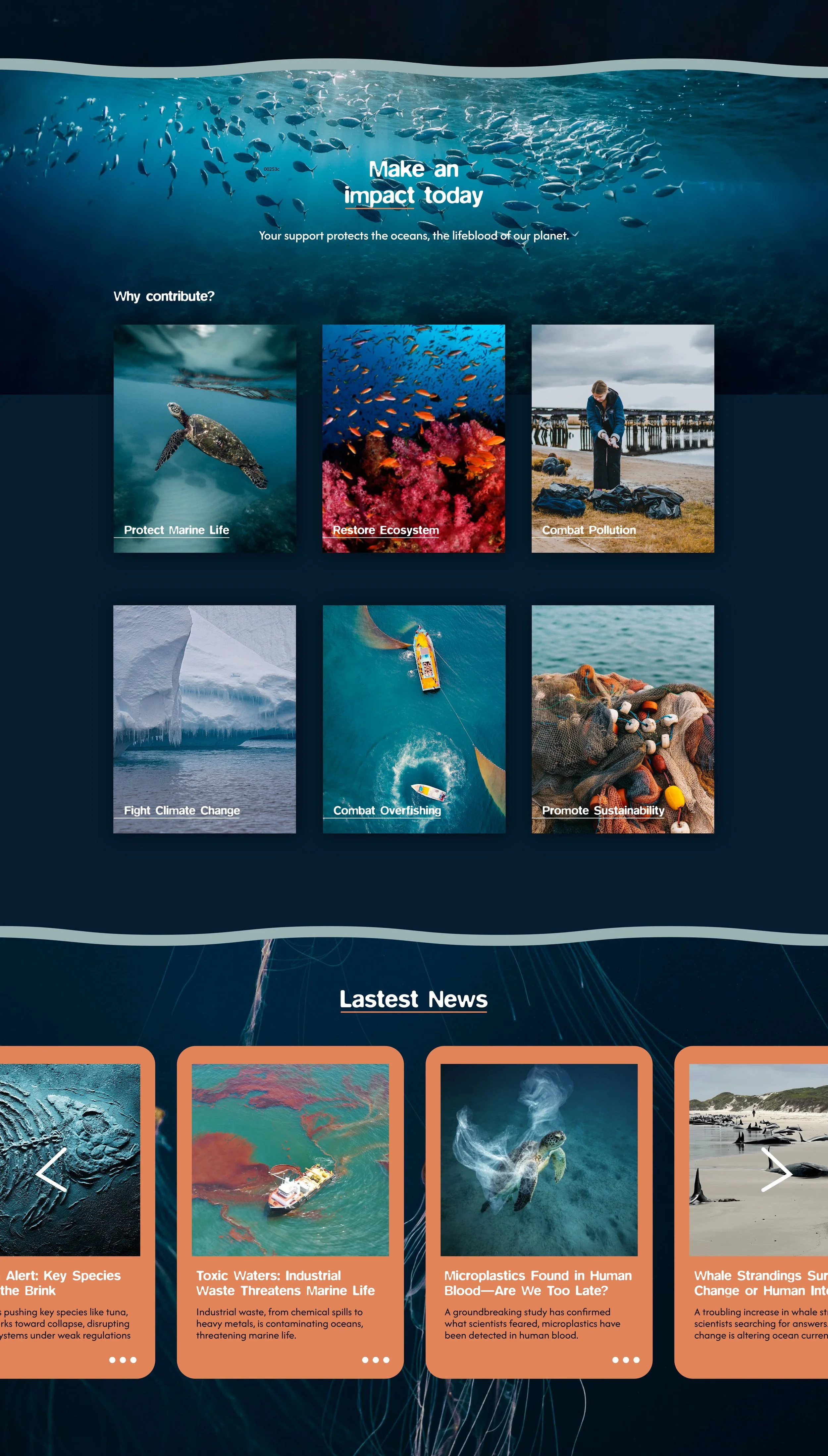 Website Design_Web 4.jpeg