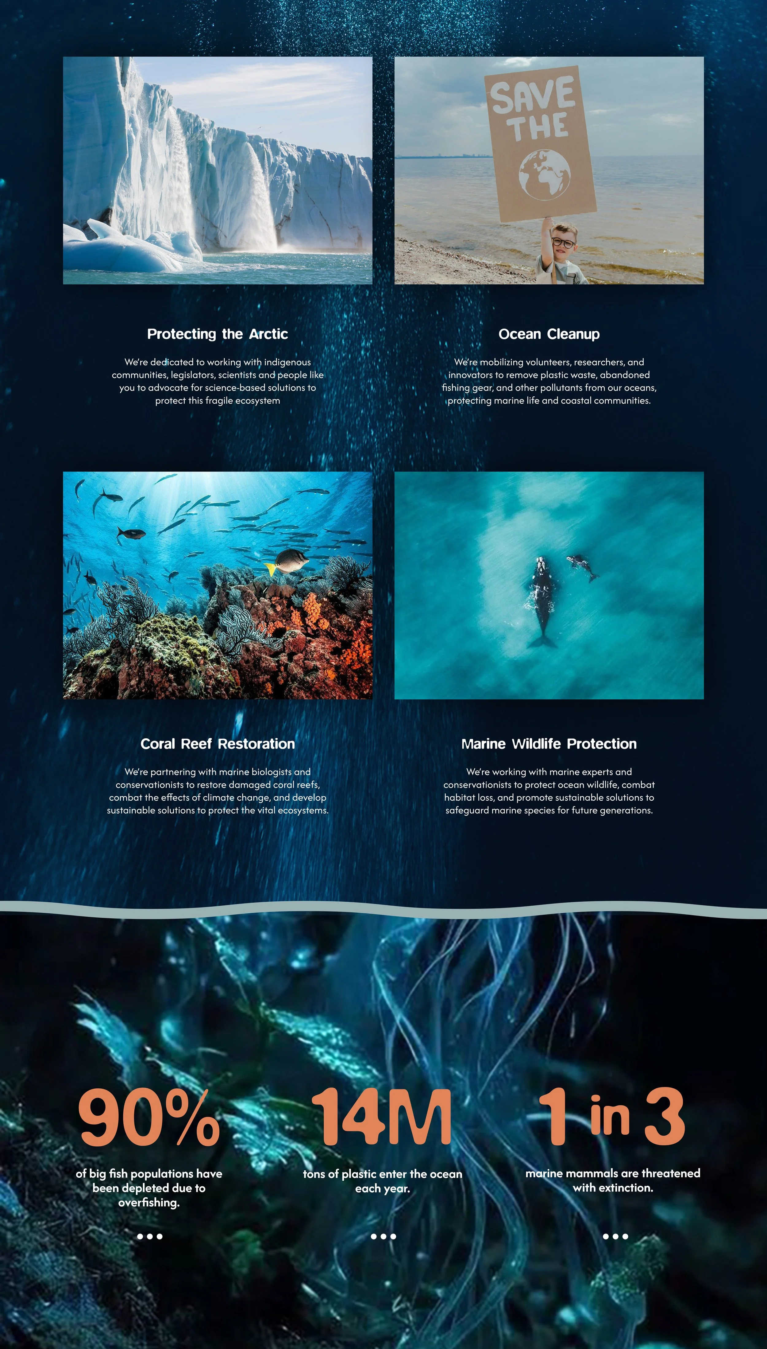 Website Design_Web 2.jpeg