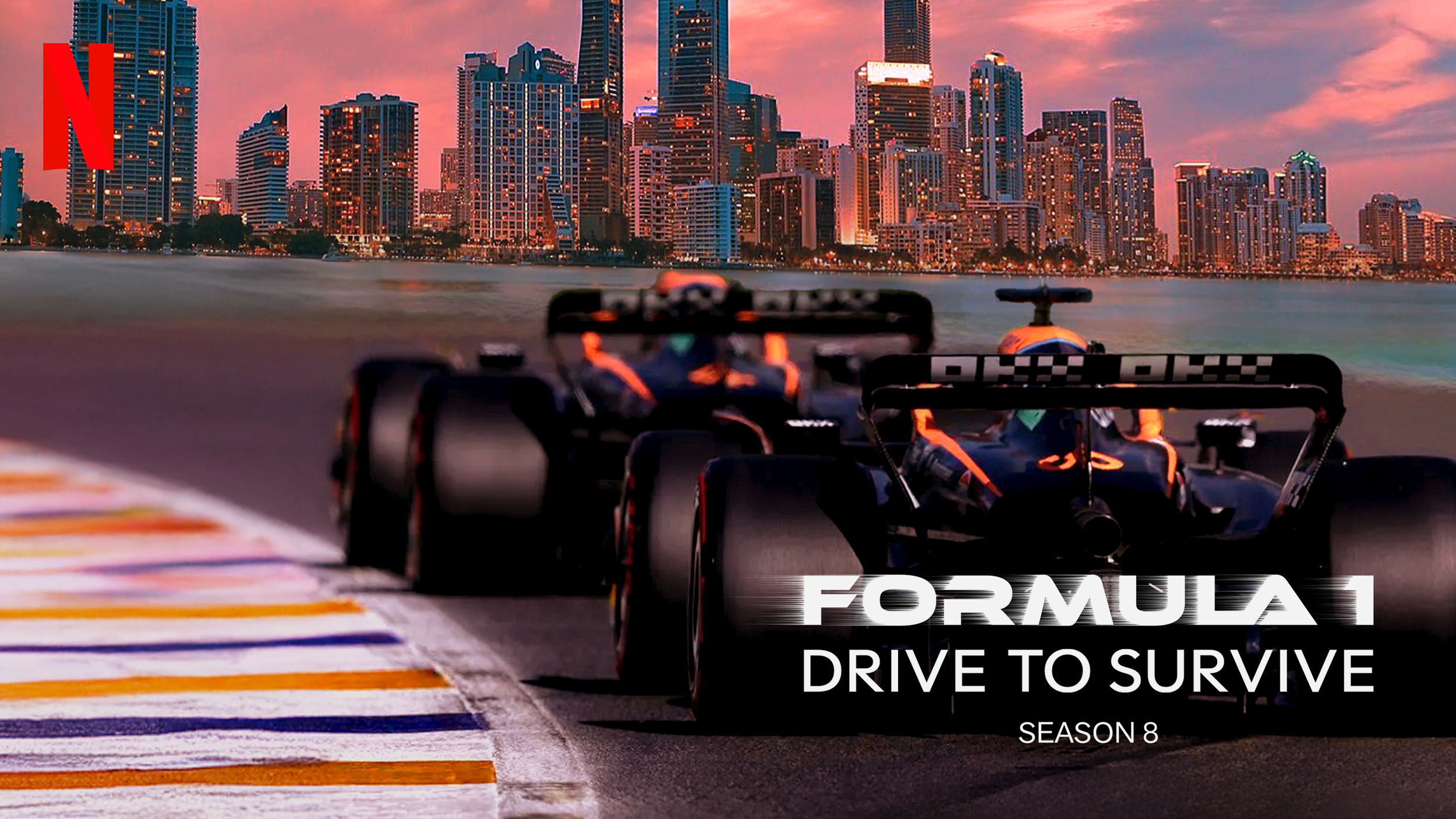 netflix horizontal.png