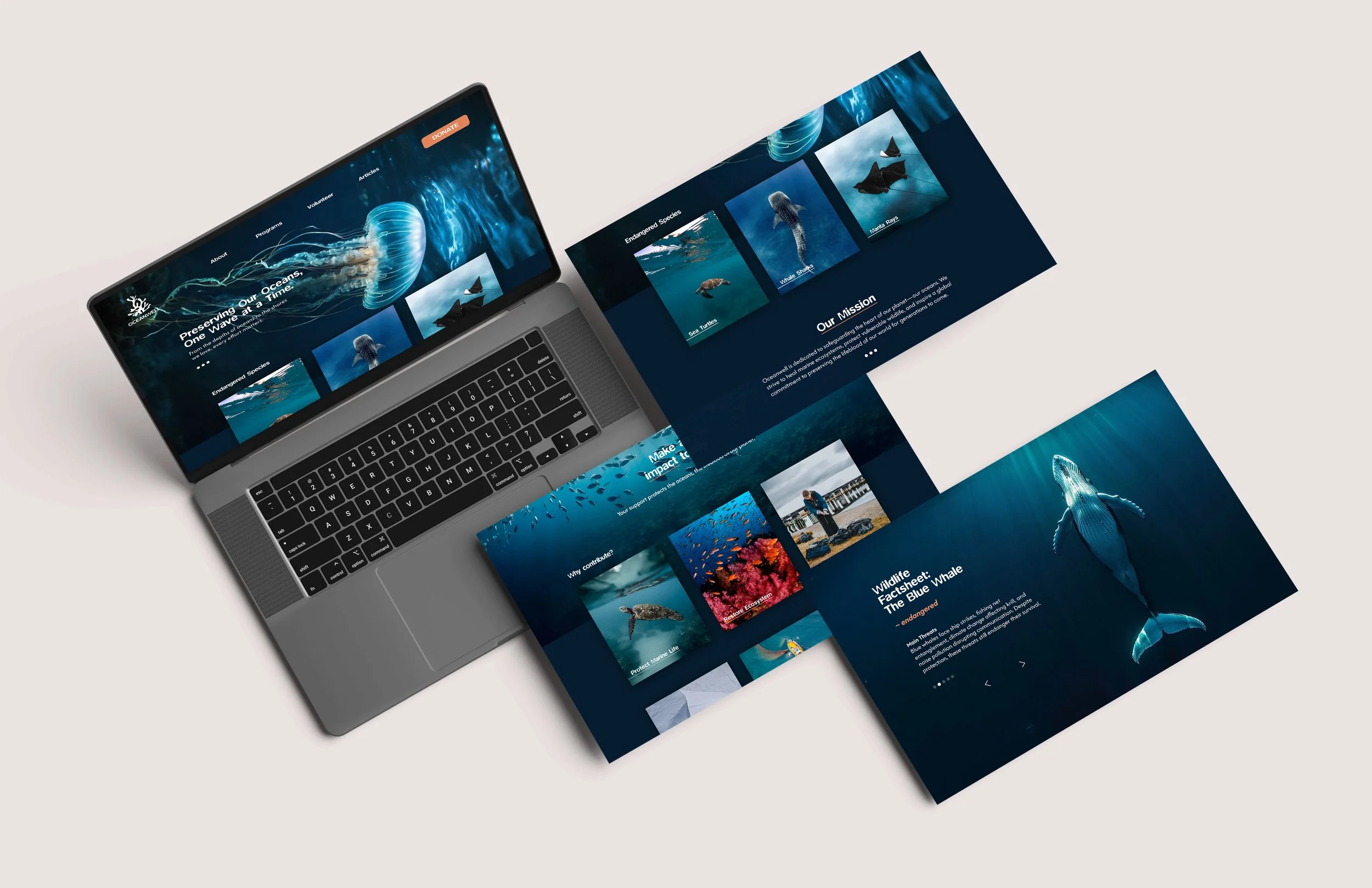 Website mockup.jpg