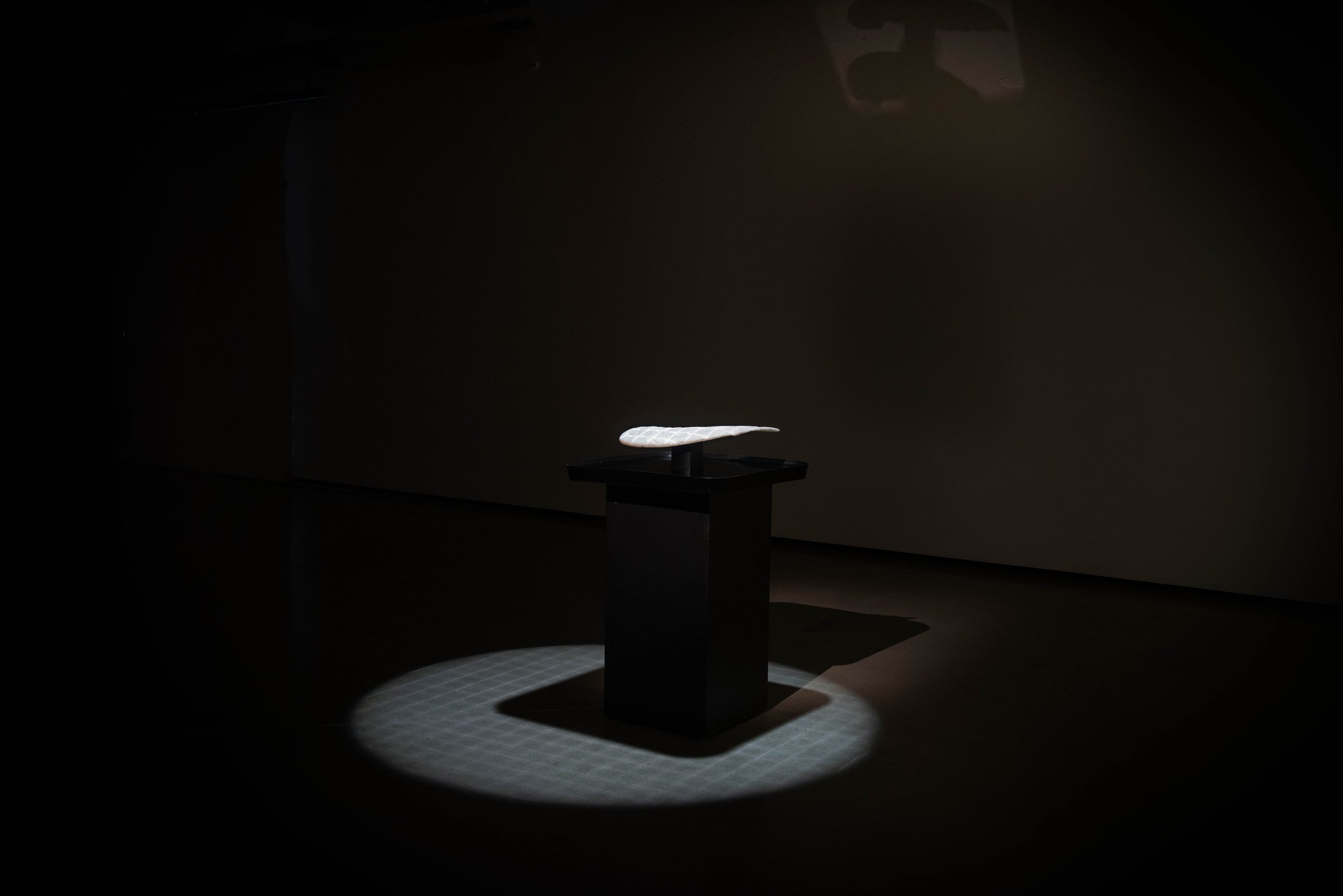 All She Surveys, 2023. 3D printed copy of broken swan wing from the Wairongoa fountain, water from the Wairongoa Spring, light grid, audio track - Dimensions variable.
Installation view, Dunedin School of Art Gallery, New Zealand, 2023.
Photo: Justi