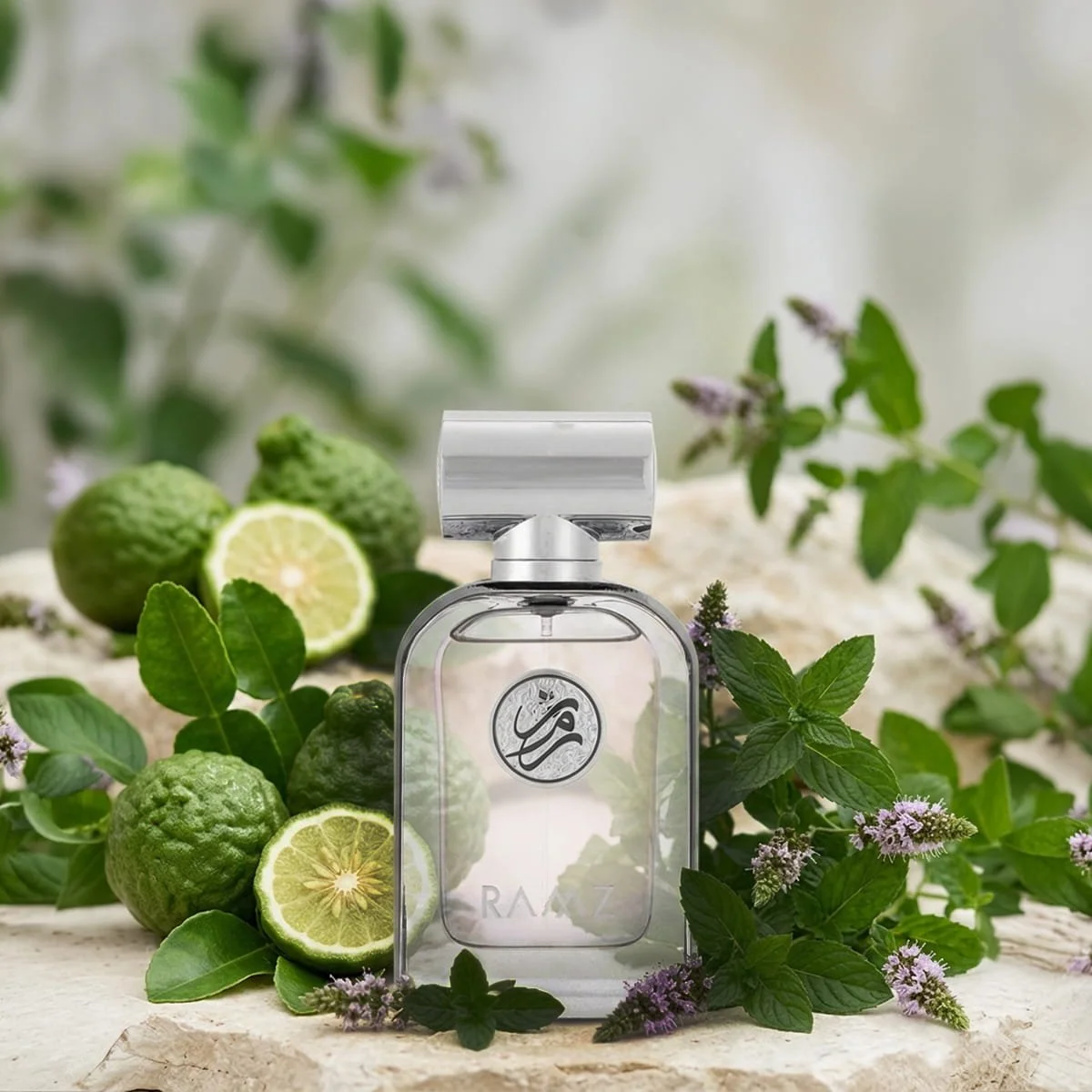 Arabian Oud Ramz perfume with bergamot, marine and musk ingredients, luxury fragrance UK