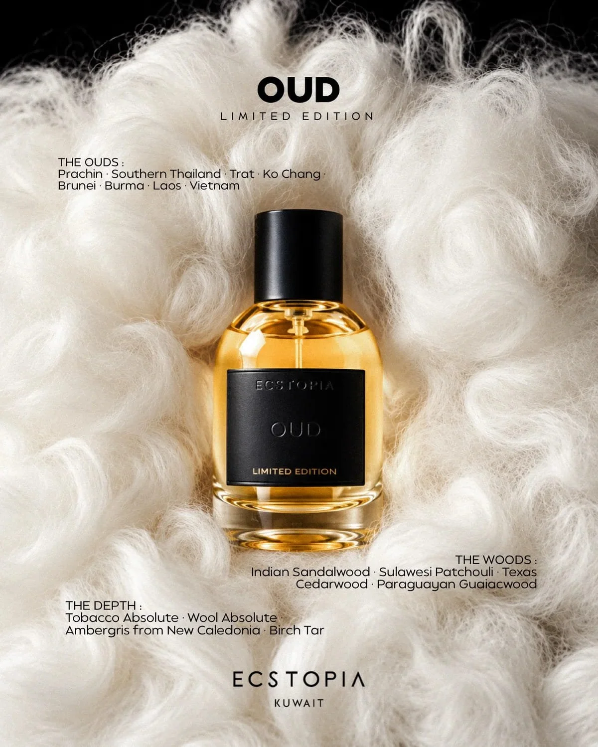 Top view of the Ecstopia OUD Limited Edition 50ml bottle showing the listed oud oils, woods and depth materials