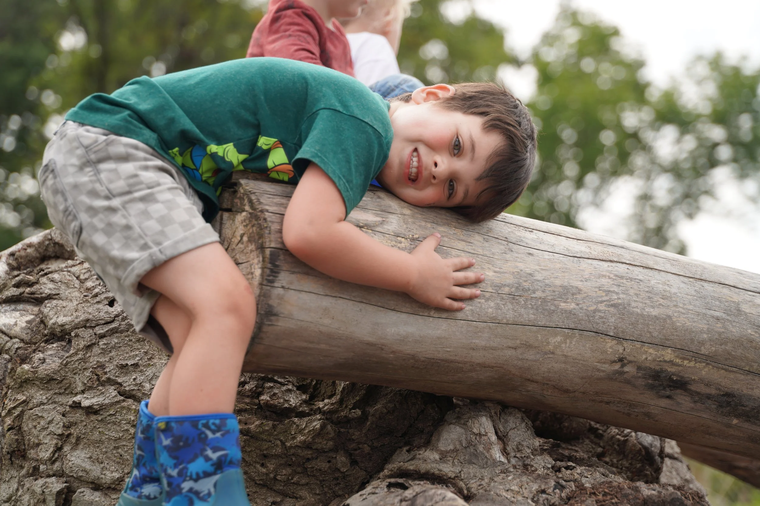 A class of children sit on a fallen log in a lush natural setting.