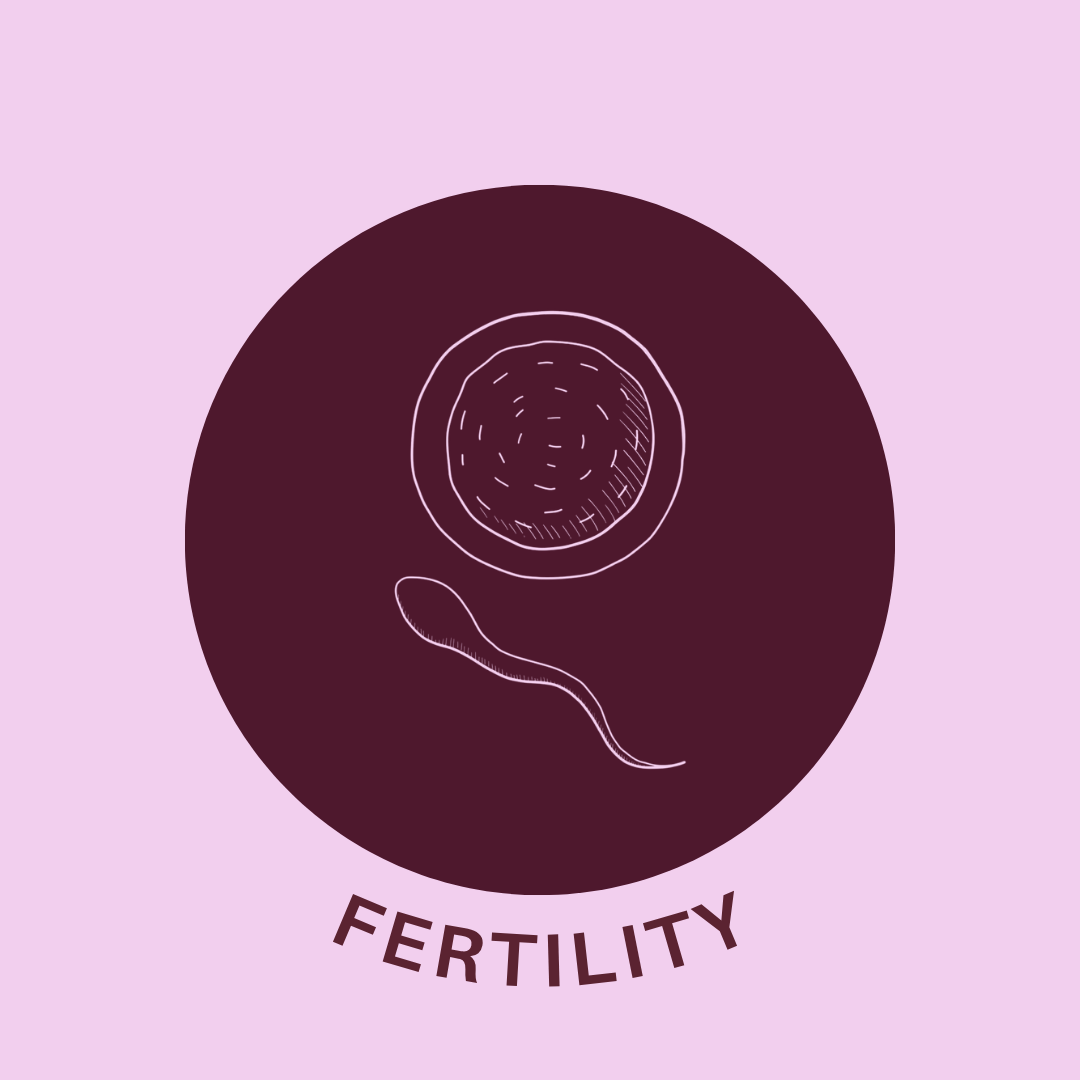fertility, egg retrieval