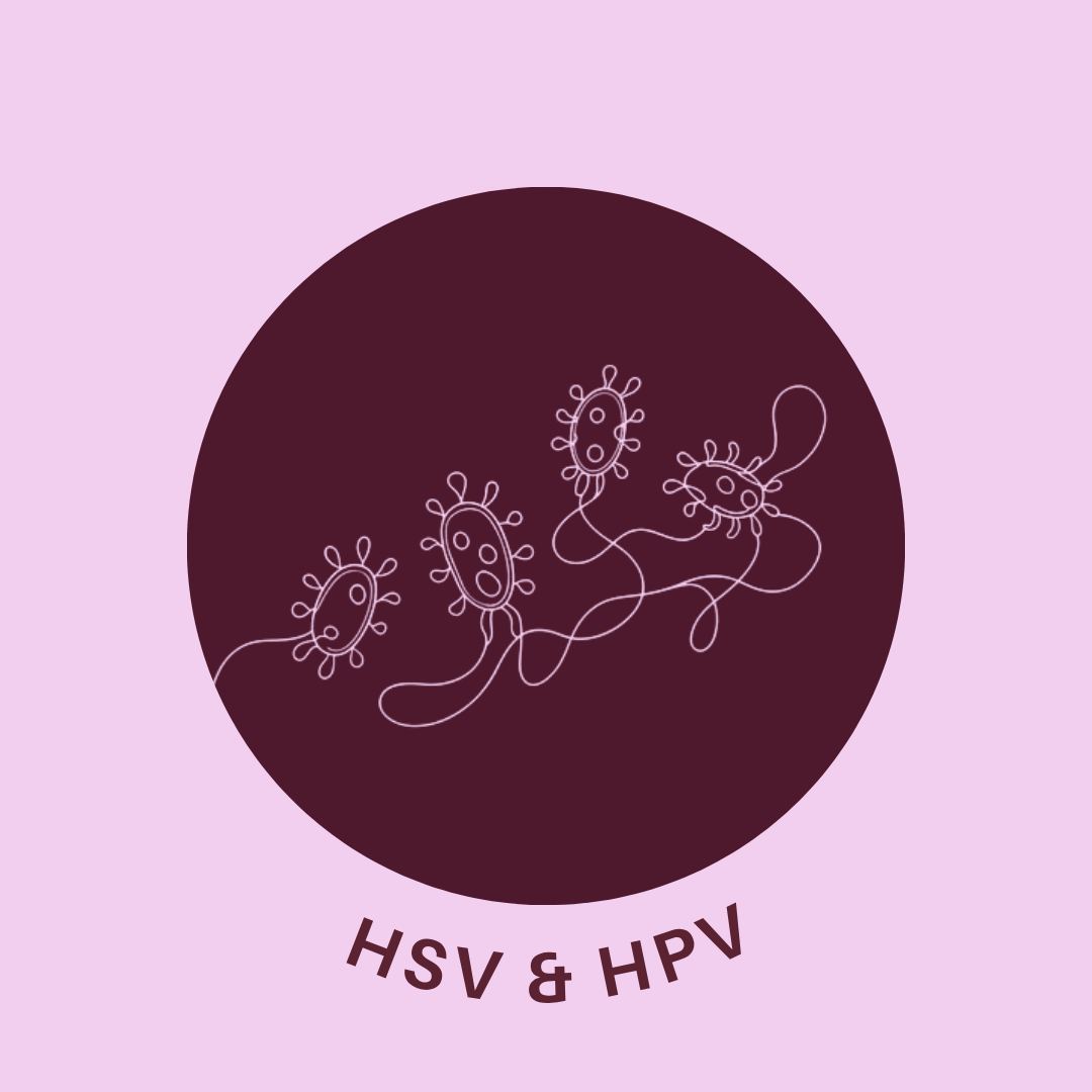 Herpes simplex virus and human papillomavirus