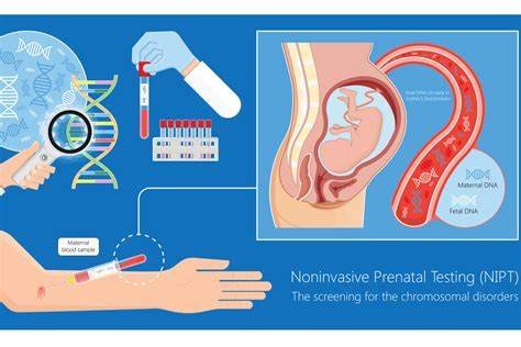 Advanced Prenatal Test