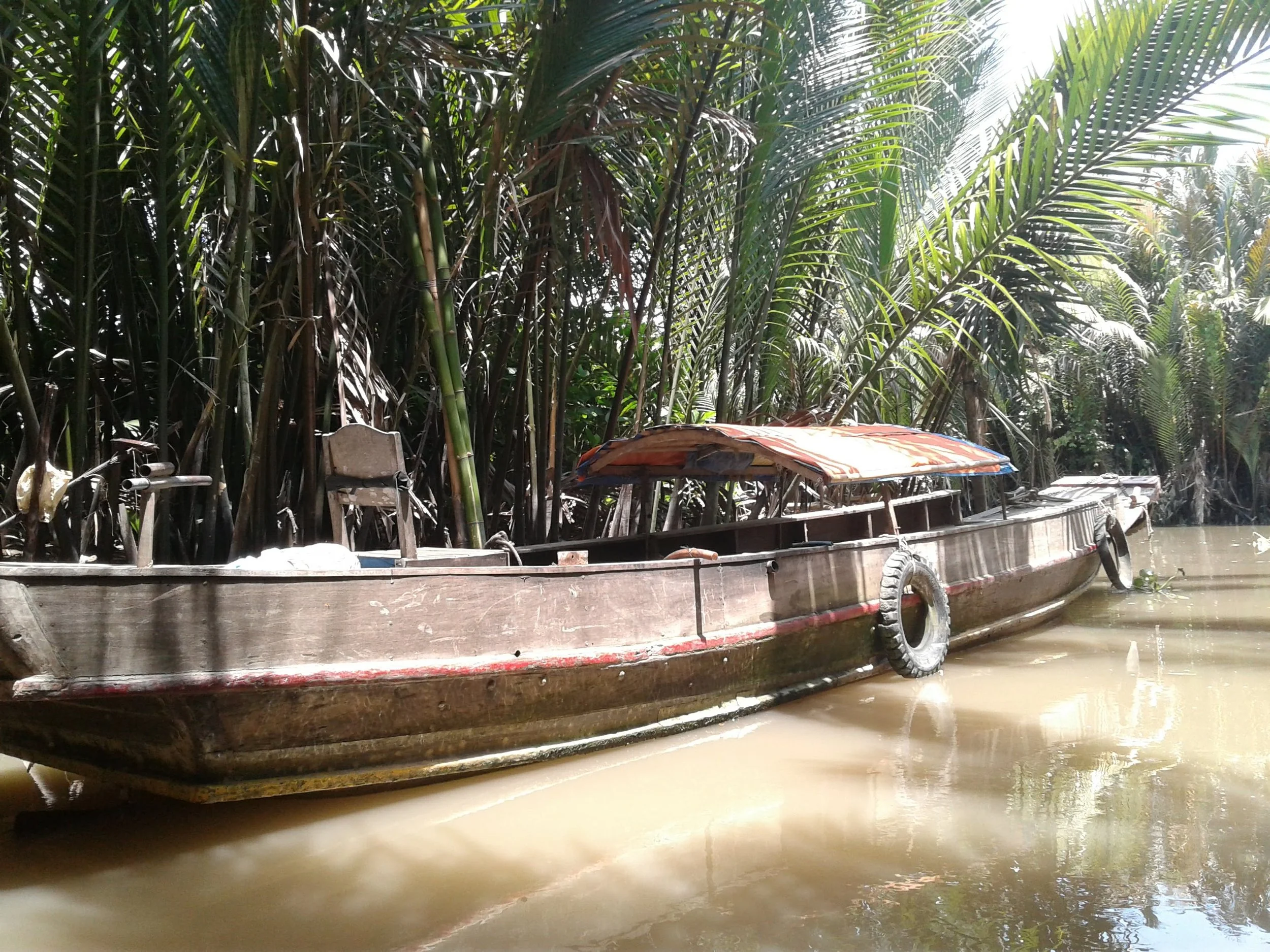 A wooden boat in Vietnam's Mekong Delta in shallow muddy water, surrounded by dense tropical jungle with tall palm trees.