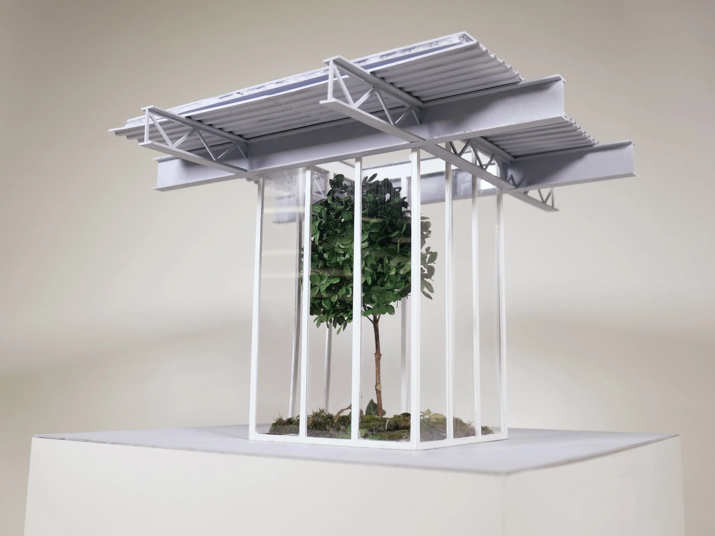 Adaptive Reuse of The Big Box Store