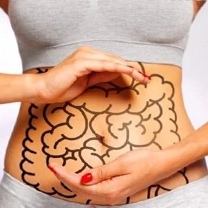 Microbiote : comment les prébiotiques équilibrent la flore intestinale ?