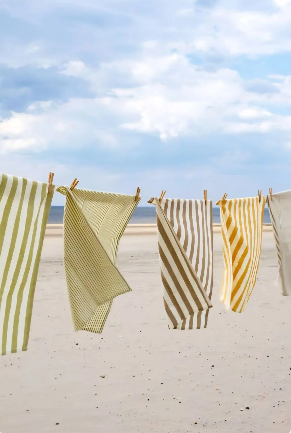 Associer céréales et légumineuses : pourquoi c’est une bonne idée 