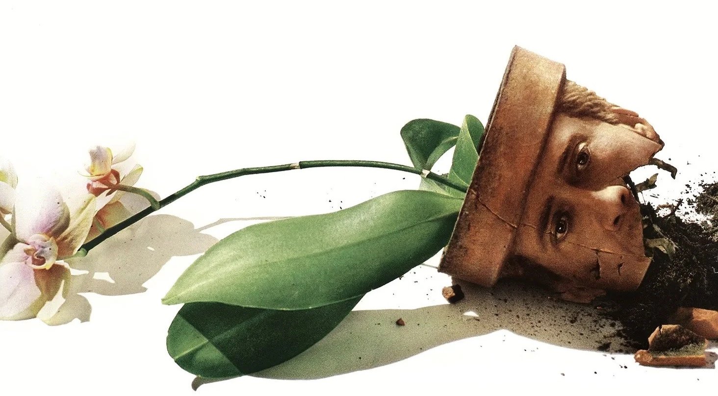 The Third Space: Cult Film - Adaptation