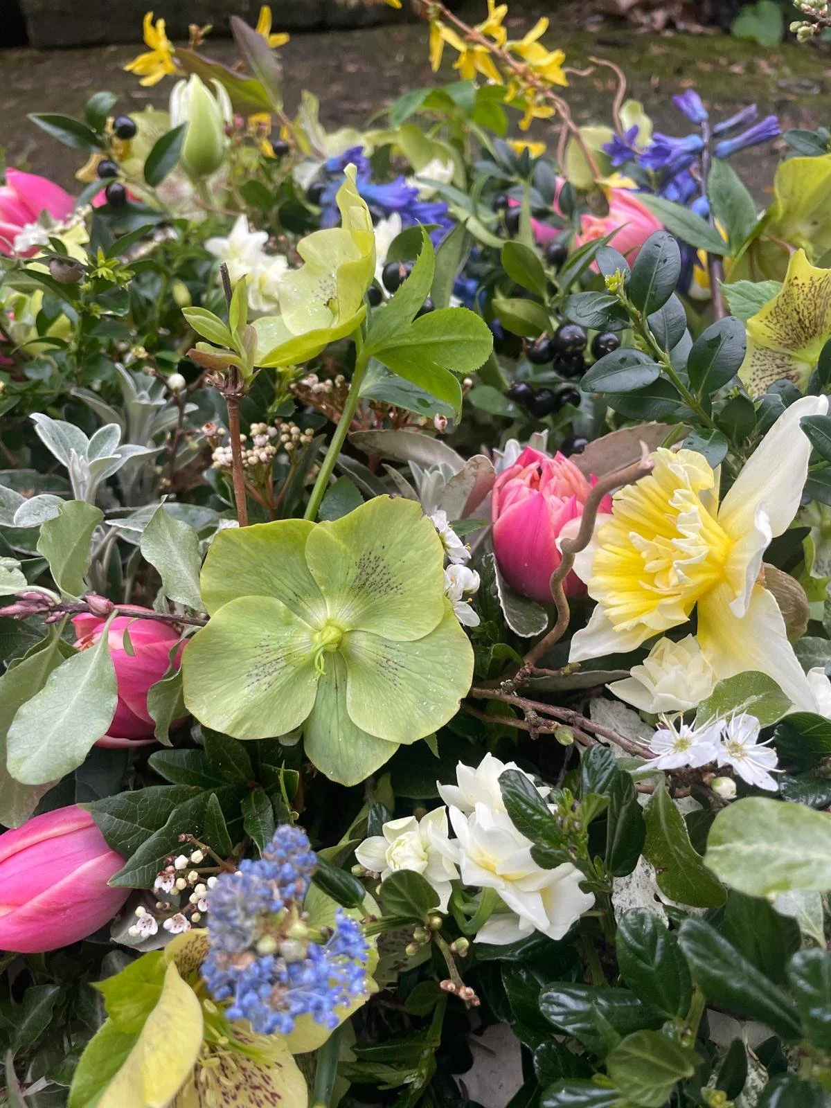 PHOTO-2026-03-09-12-16-07 2.jpg