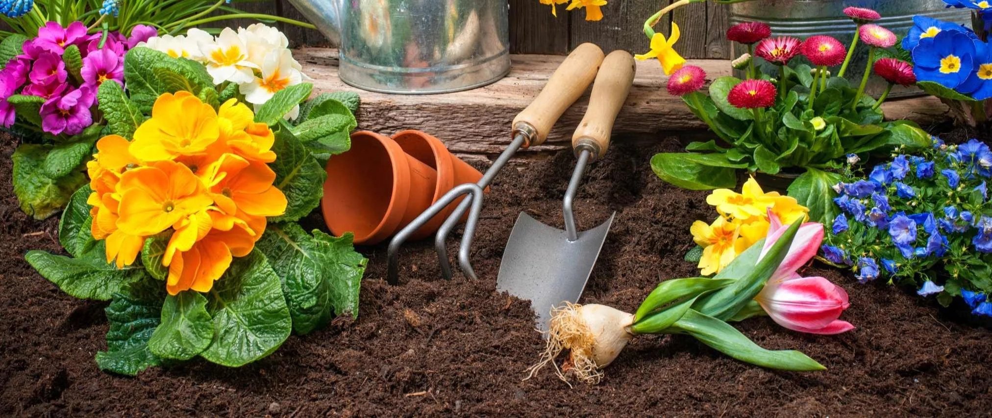 The Third Space: Gardeners Get-together