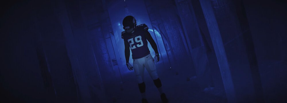 2018-2019 Minnesota Vikings