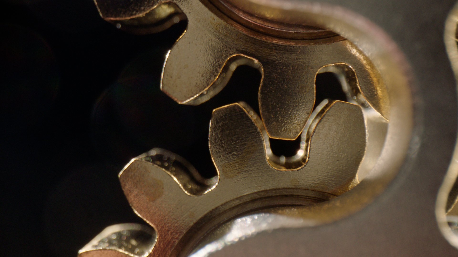 gears+turning+cutaways2.jpg