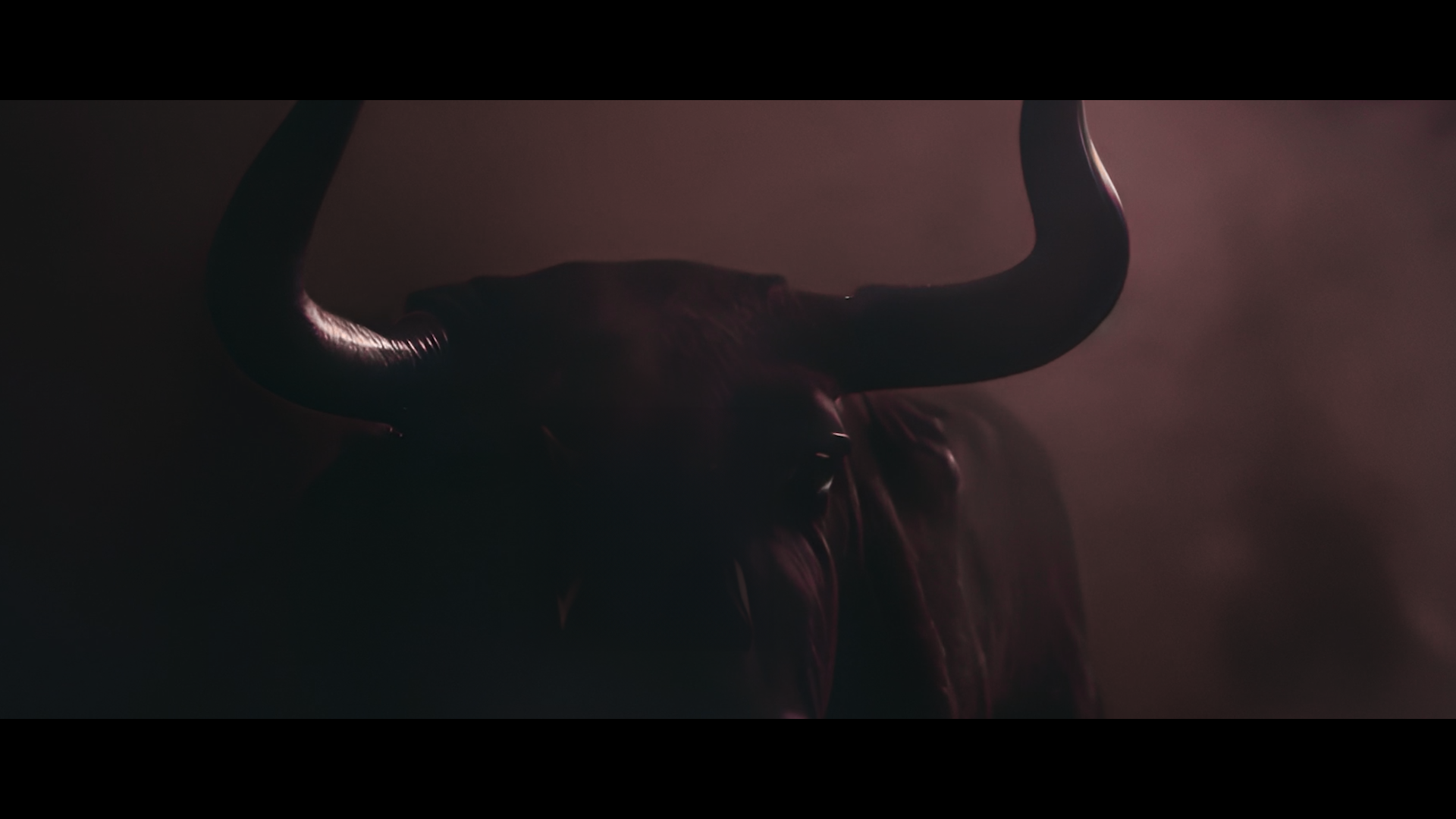 Texans+Editupdate_4_15.00_00_02_11.Still009.png