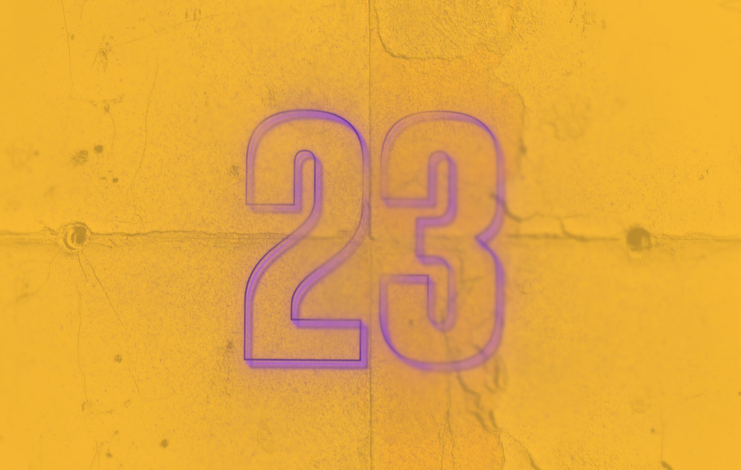 2425Lakers_Headshot6.png