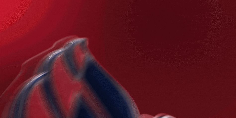 Washington Capitals 2025-2026