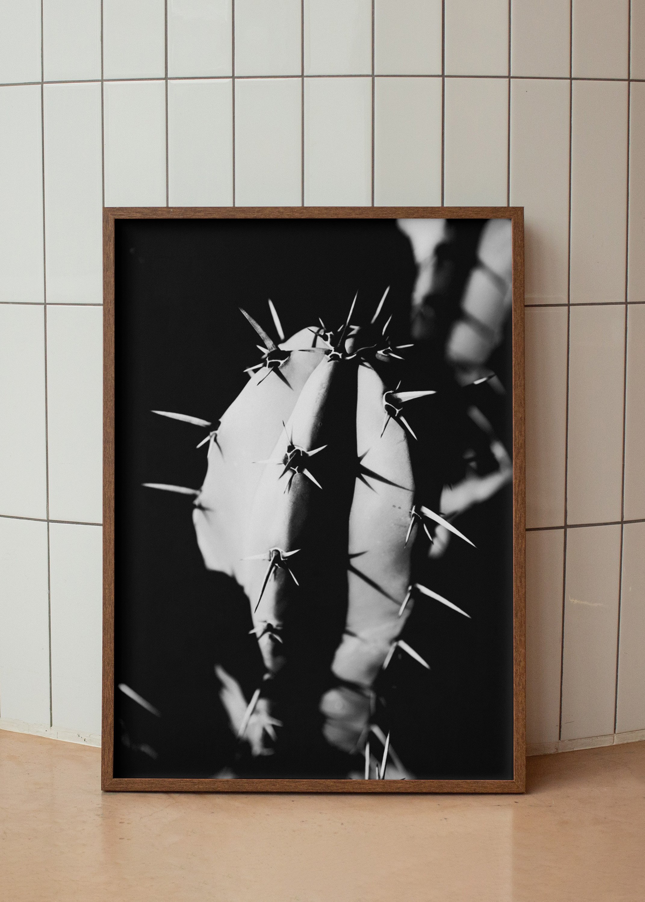 Mockup cactea3.jpg