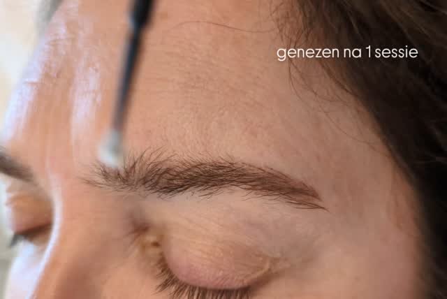 zo natuurlijk zetten @permablend_pigments zich onder de huid
na sessie #1 kijk ik wat sessie #2 nodig heeft om de wenkbrauw te perfectioneren
#elkedagmooi
#microblading #powderbrows #hyperrealismhairstrokes
#wenkbrauwen #sourcils #permanentewenkb