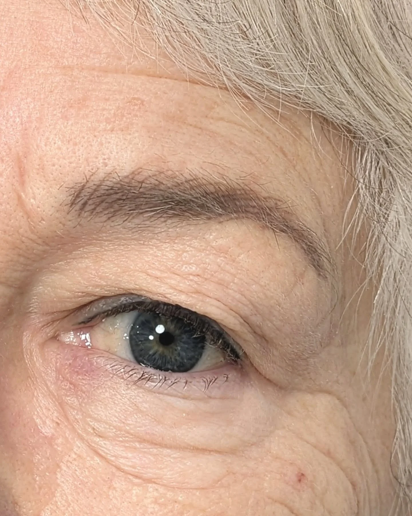 1 jaar na de eerste behandeling, deze hyperrealism hair strokes blijven mooi 🤍
#elkedagmooi

afspraak via www.kobie.be

@permablend_pigments 
#hyperrealism #hairstroke #artistry
#permanentemakeupbelgie