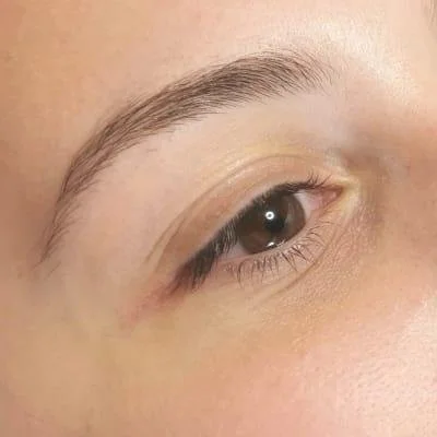 Close-up of a human eye with a well-groomed eyebrow