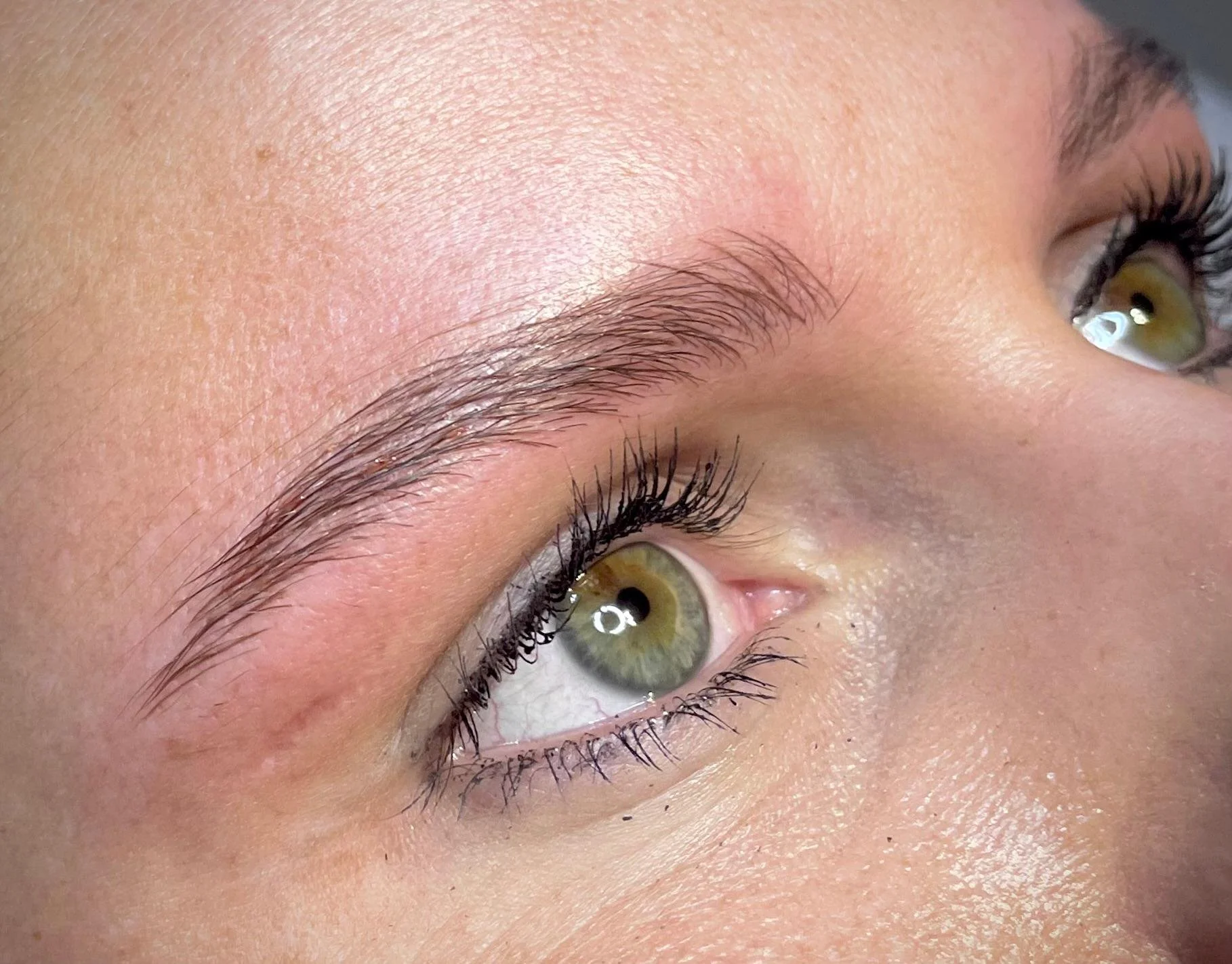 Close-up ogen en wenkbrauwen