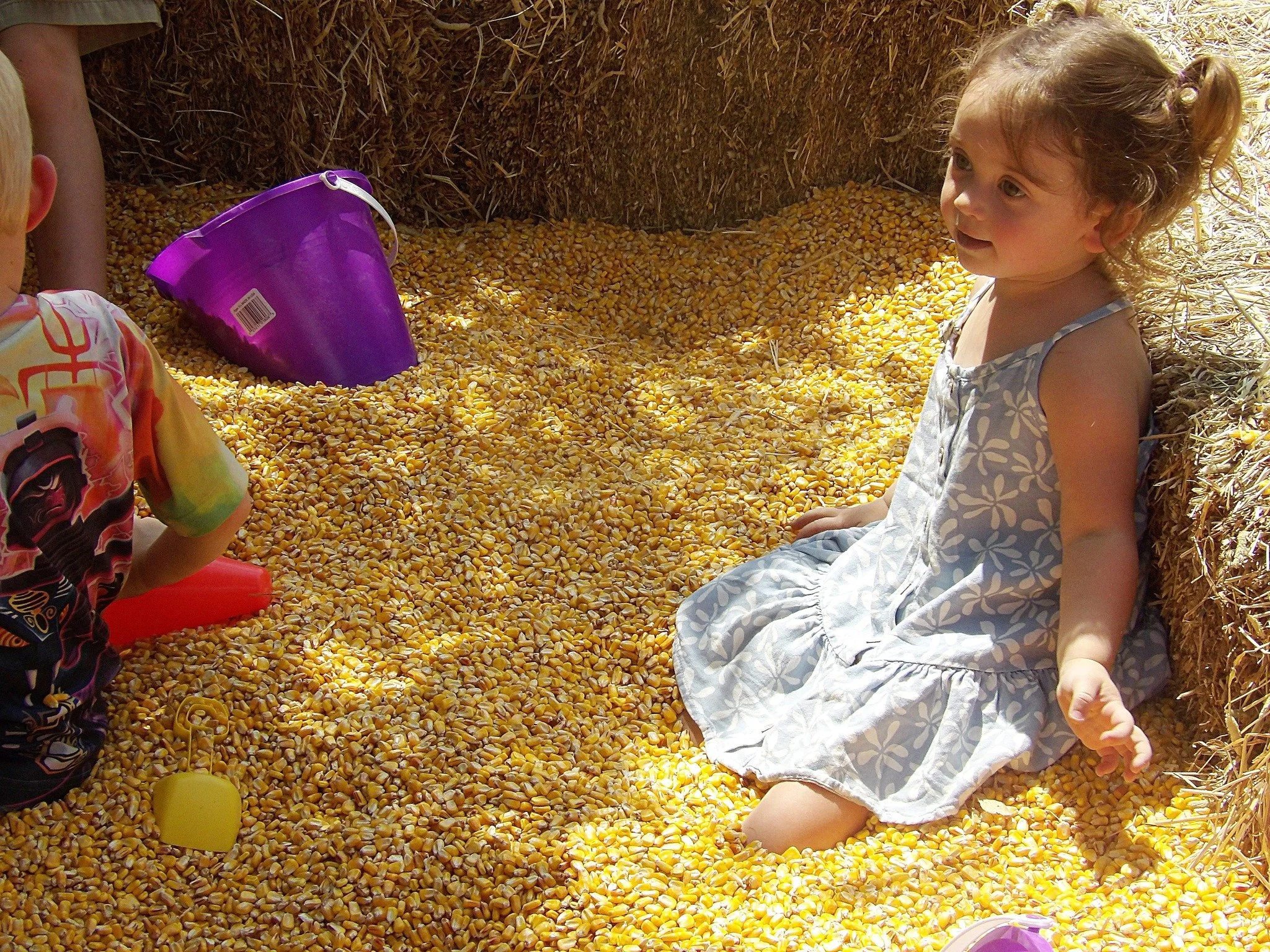 corn pit.jpg