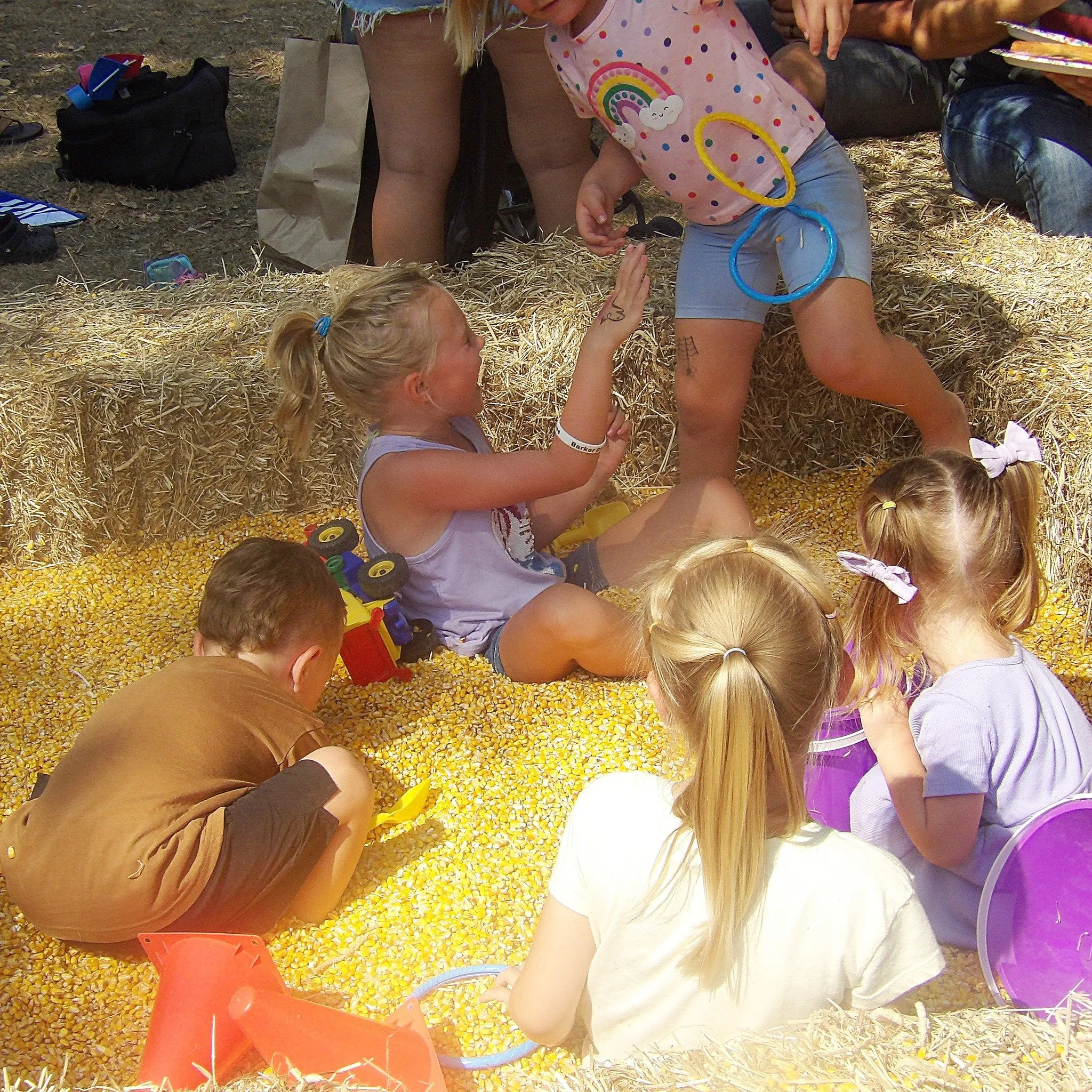 corn pit 3.jpg