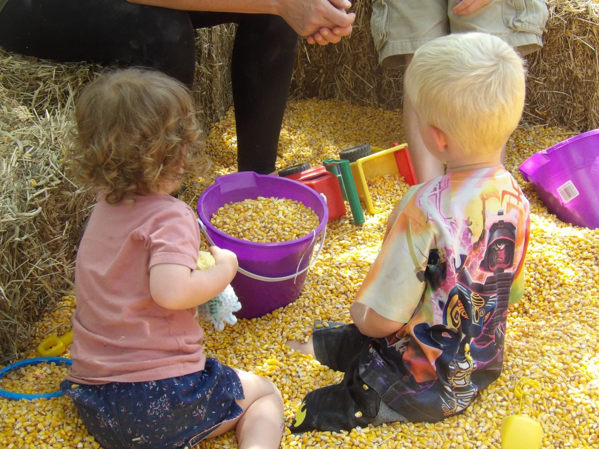corn pit 2.jpg