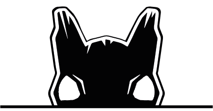 MAD SQUIRREL BERKHAMSTED CRICKET CLUB