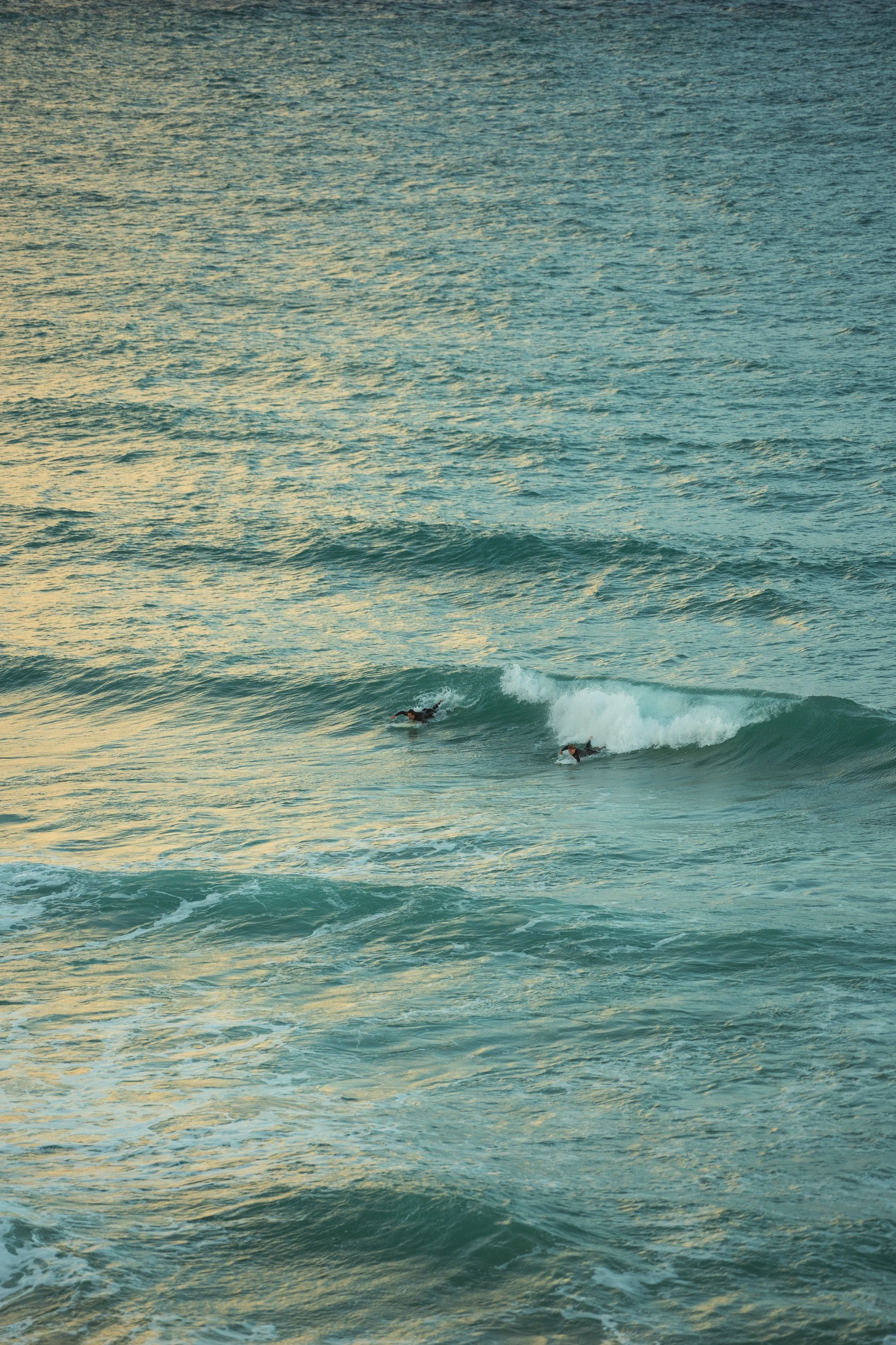 DSC03511.JPEG