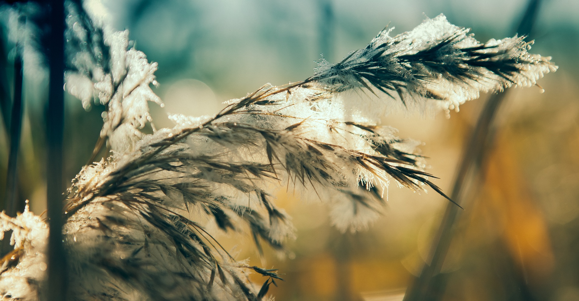 Konserveringsmedelsfokus på Scancos i Helsingfors