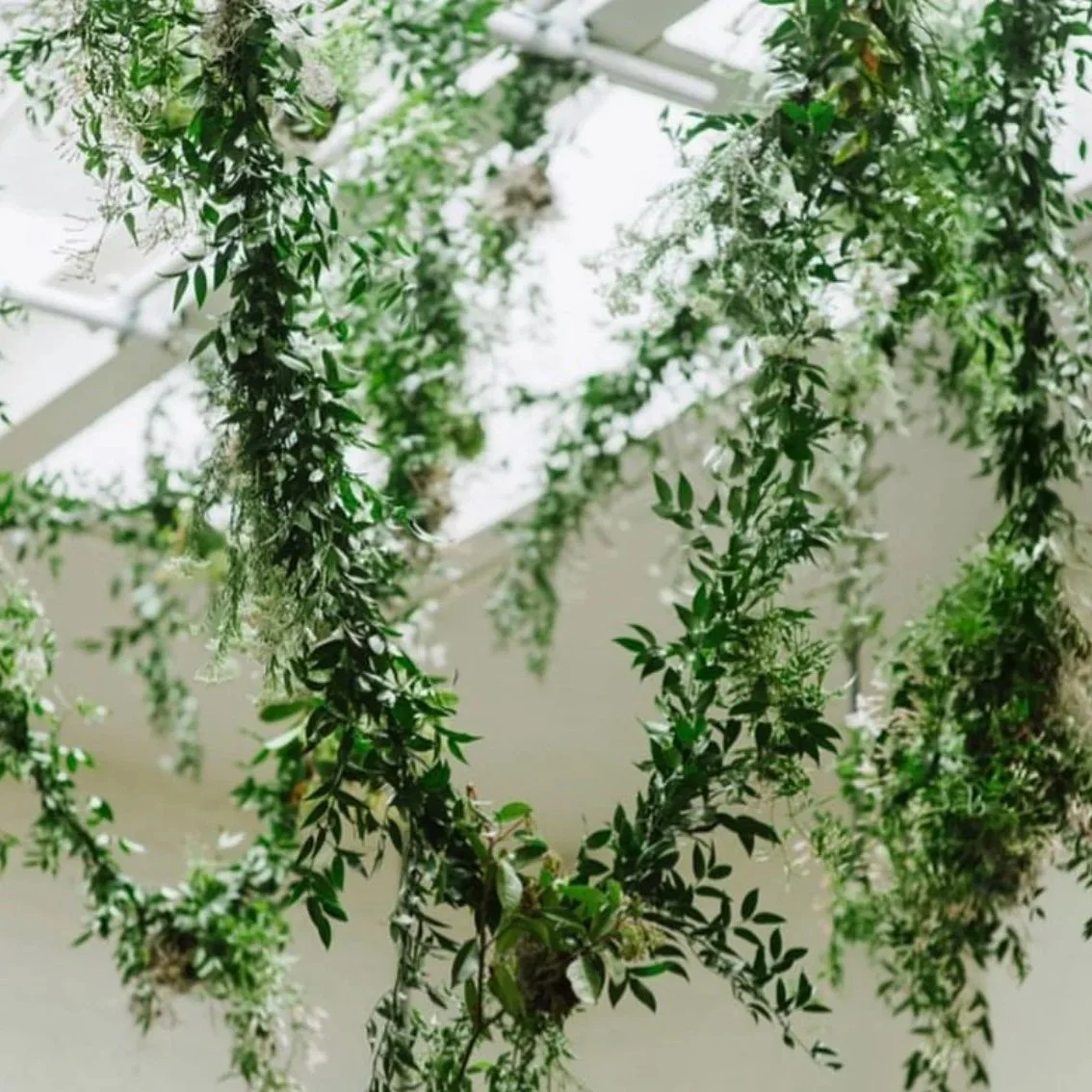 Mixed Foliage Garland