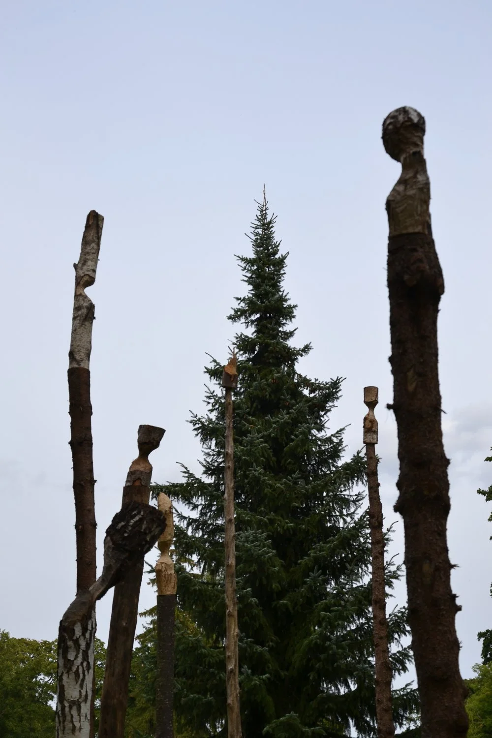  From the notes of a beaver hunter  2015