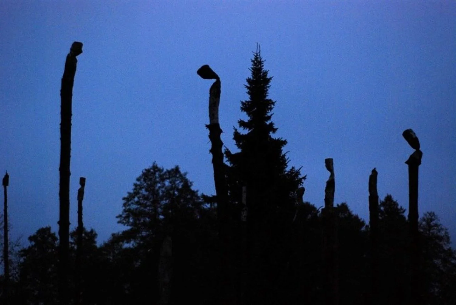  From the notes of a beaver hunter  2015