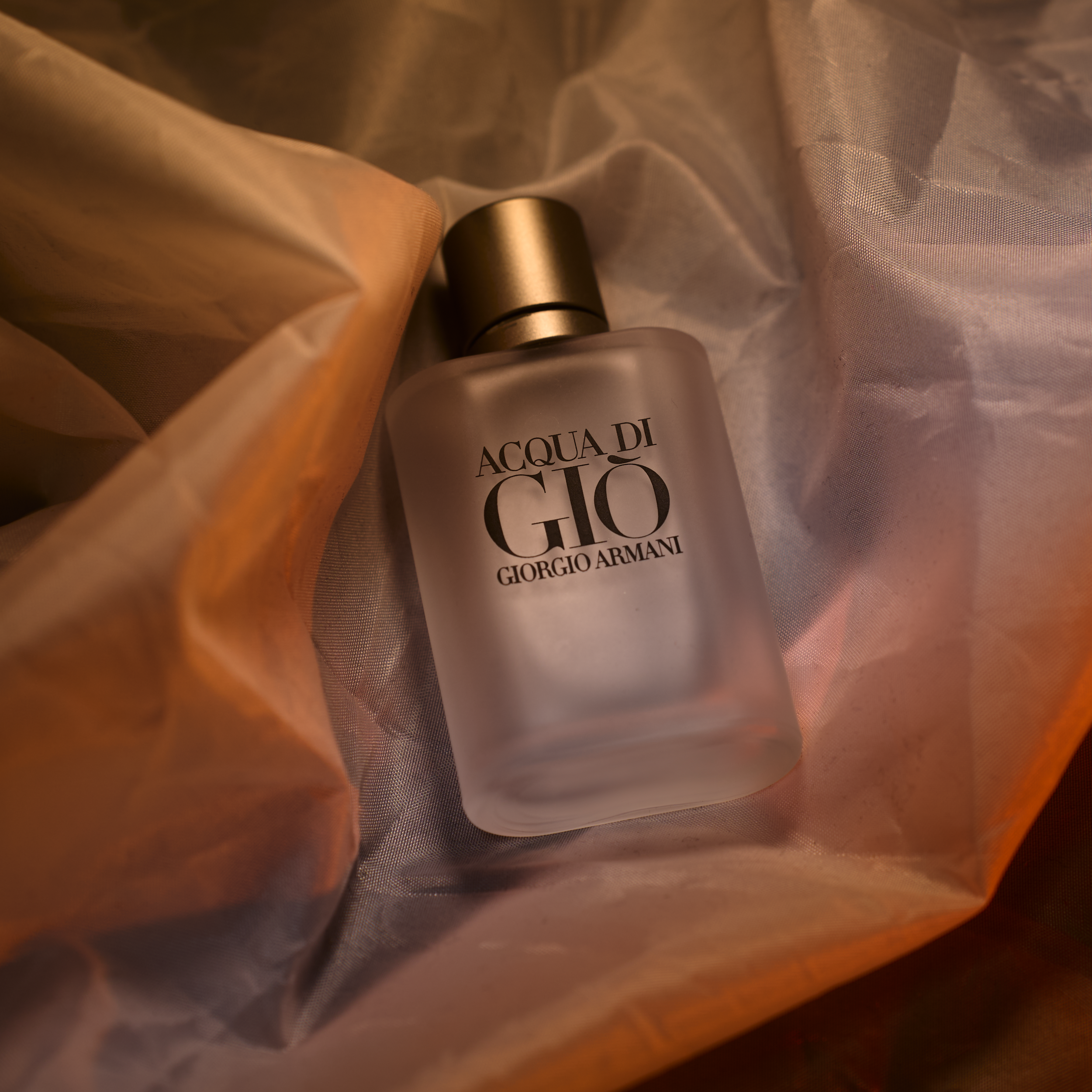 Pro-Capture One 1056.png