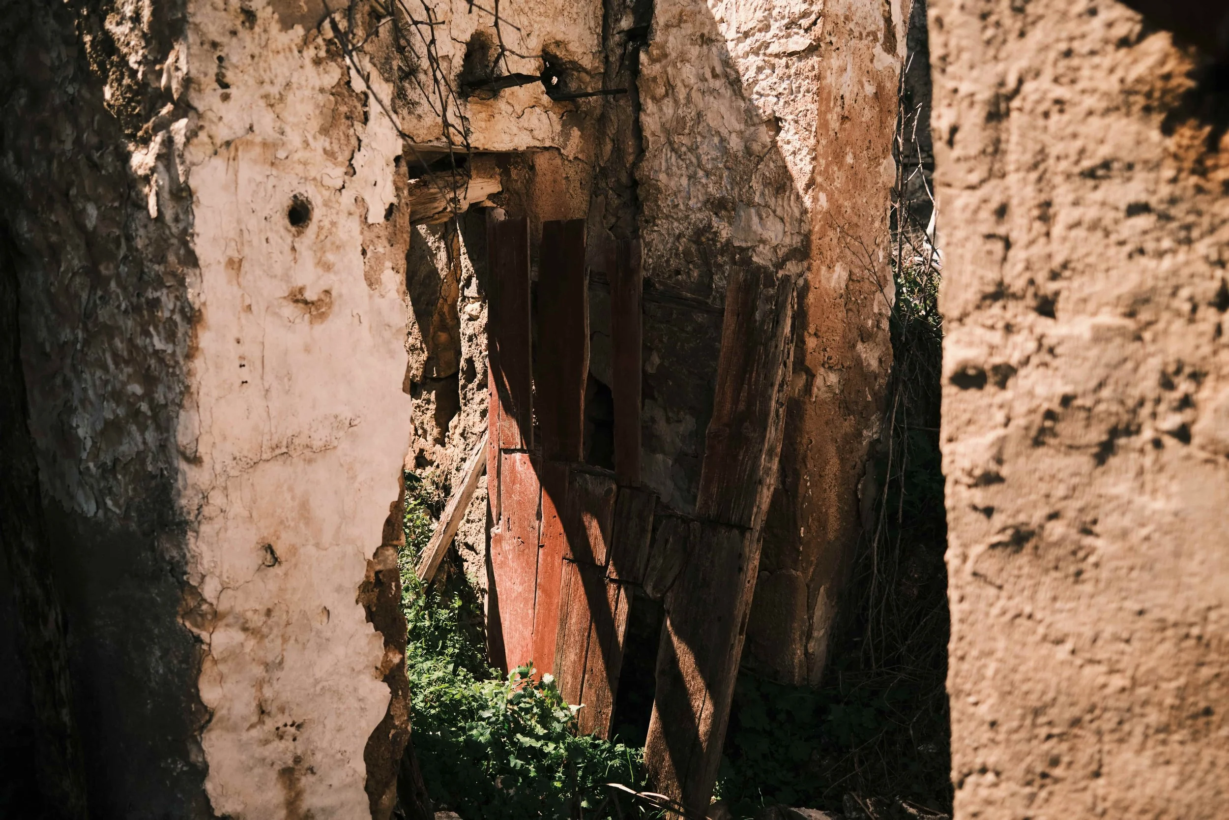 Image Compressor DSCF0530.jpg