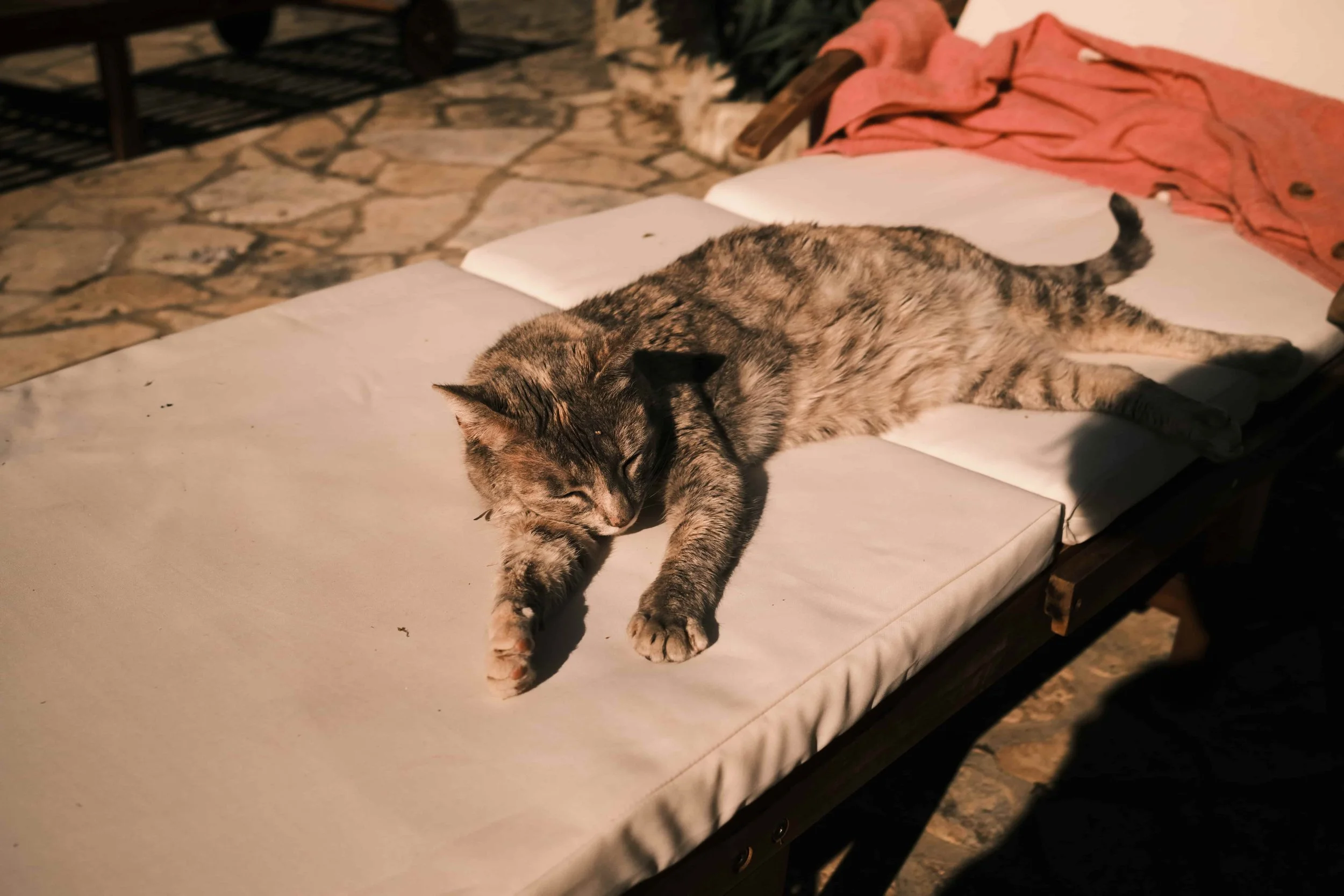 Image Compressor DSCF0237.jpg